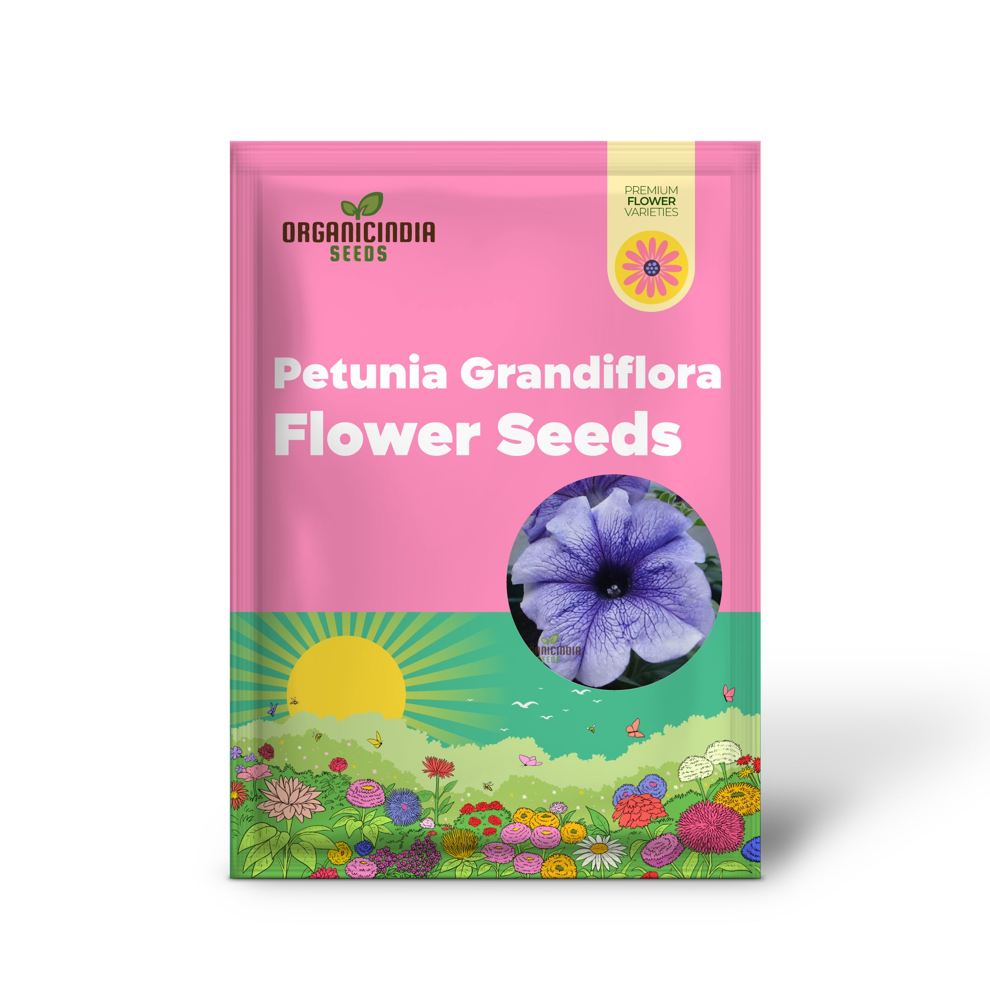 Petunia Grandiflora Purple Flower Seeds - Bold and Beautiful Blooms for Your Garden