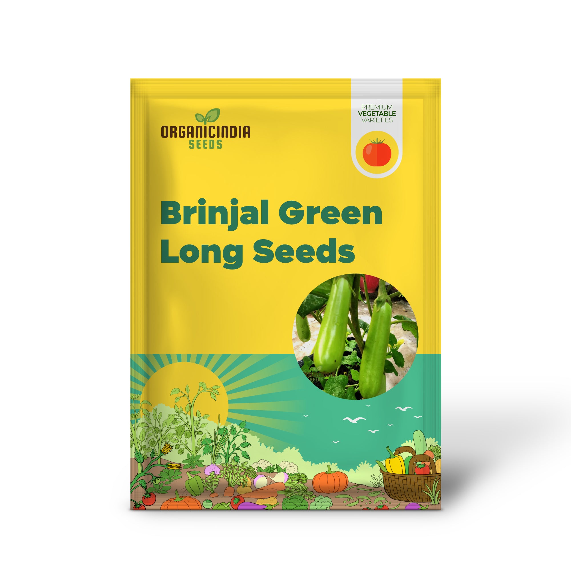 Graines de légumes verts à longues feuilles d'aubergine, guide complet de plantation et de jardinage pour produire des récoltes abondantes et savoureuses