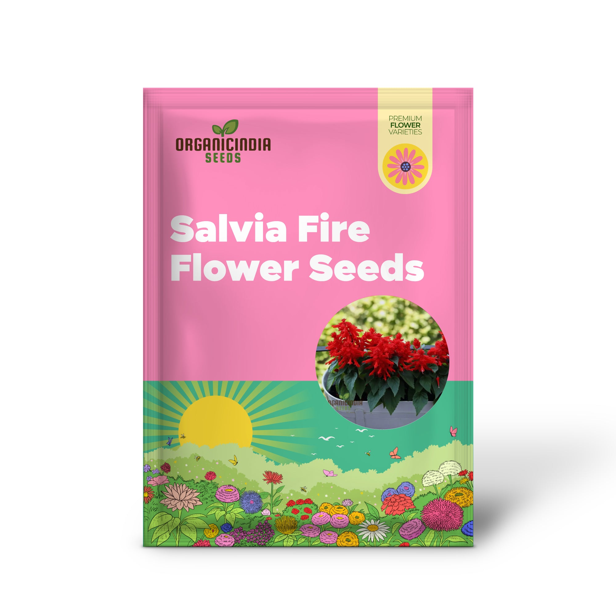 Salvia Red Fire Flower Seeds, Expert Planting and Gardening Guide for Striking, Fiery Blooms