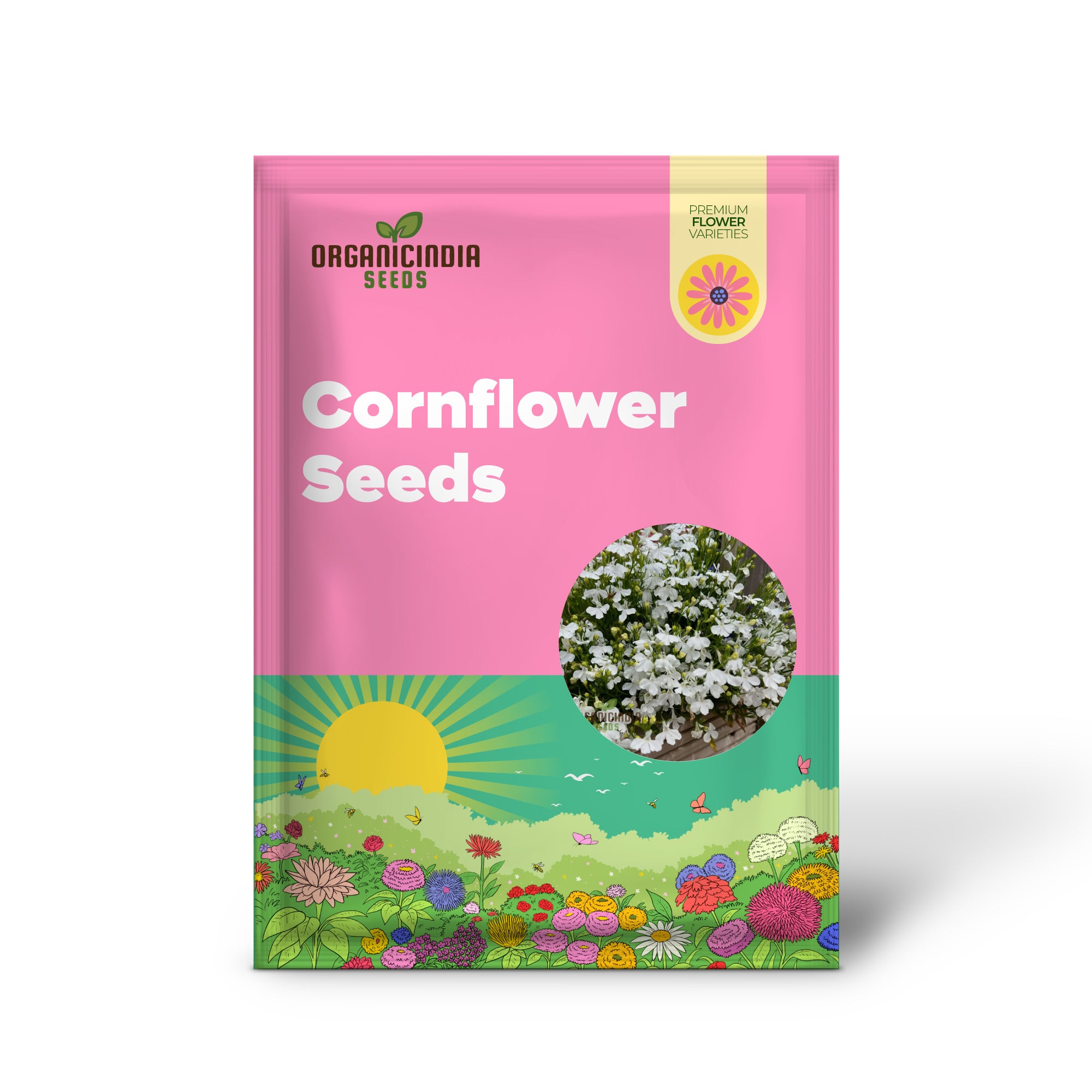 Cornflower 'Lobelia White Lady' Seeds for Exceptional Gardening â€“ Cultivated with Care for a Stunning Garden Display