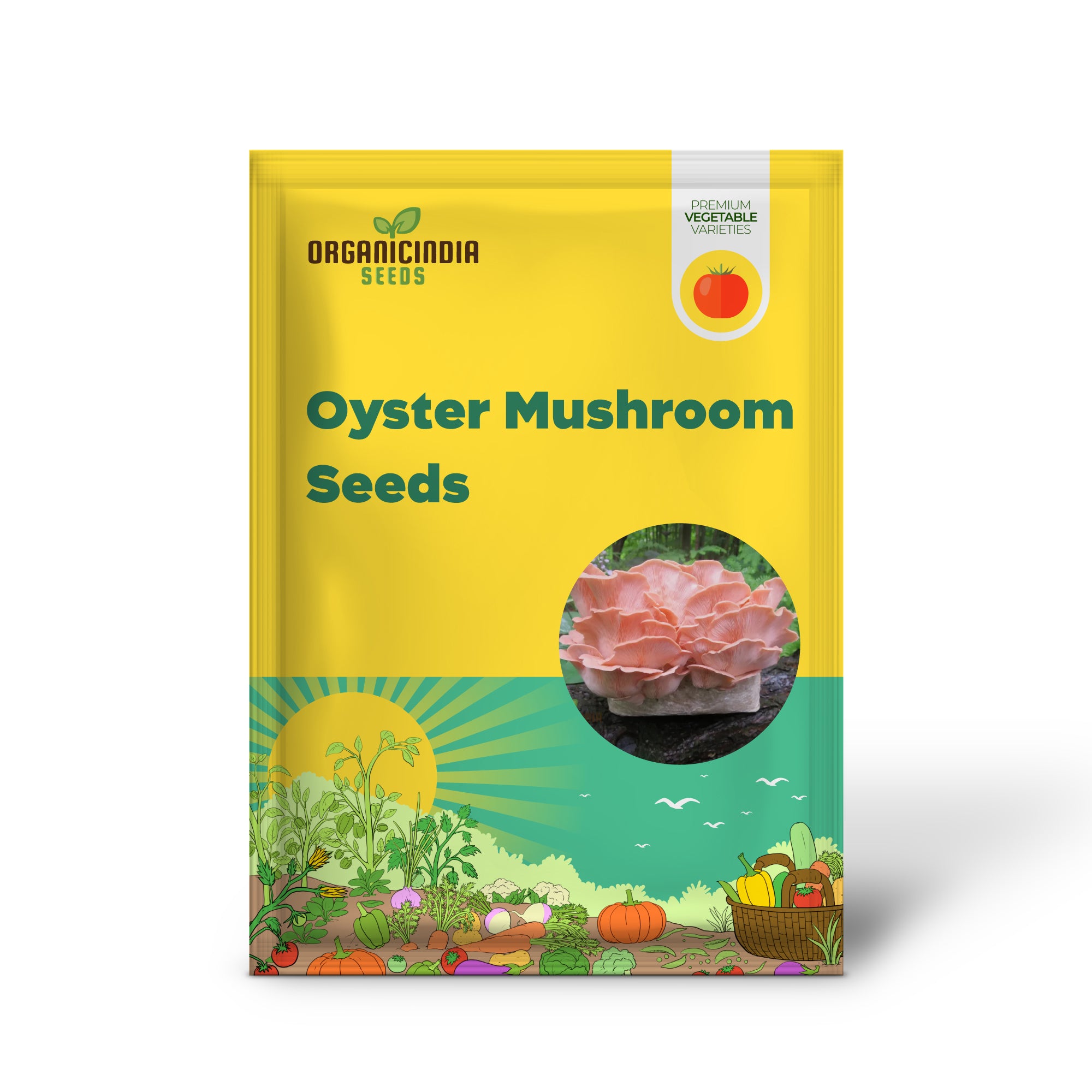 Pink Oyster Mushroom Beauty Vegetable Seeds Planting and Gardening