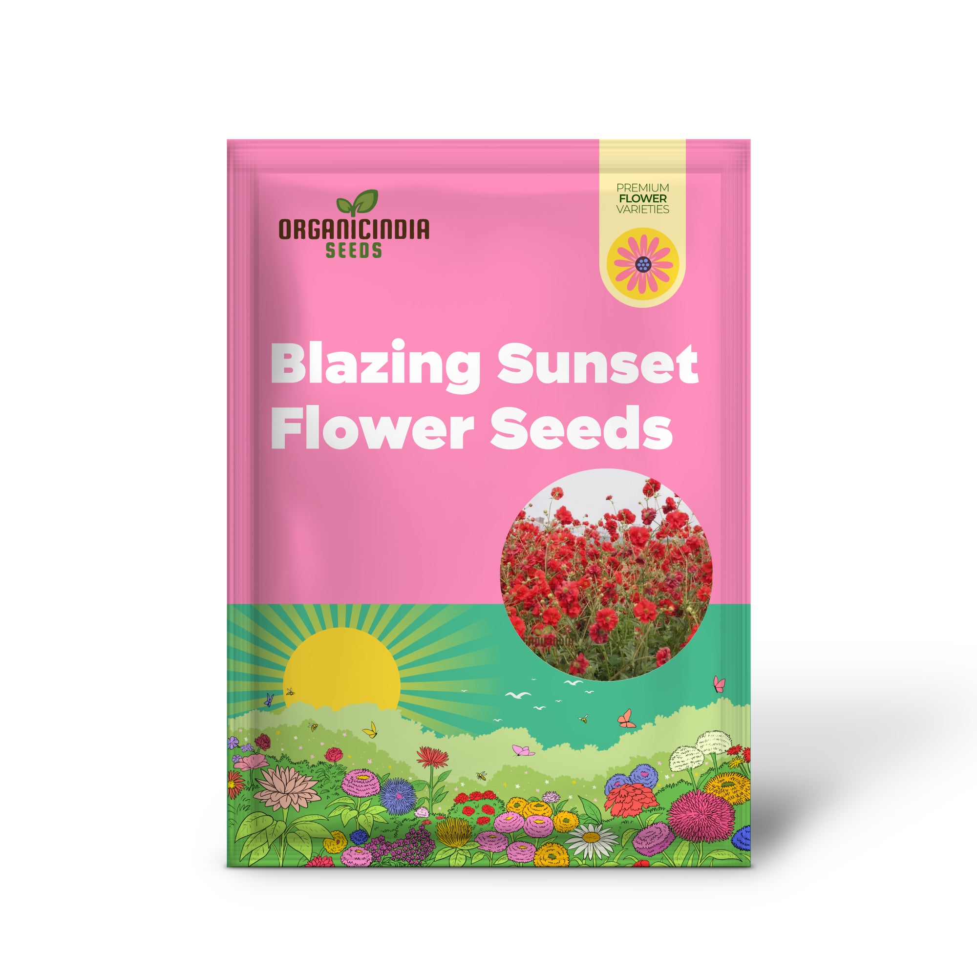 Geum Flora Plena Blazing Sunset Flower Seeds, Premium Garden Seeds for Stunning Blooms Gardening