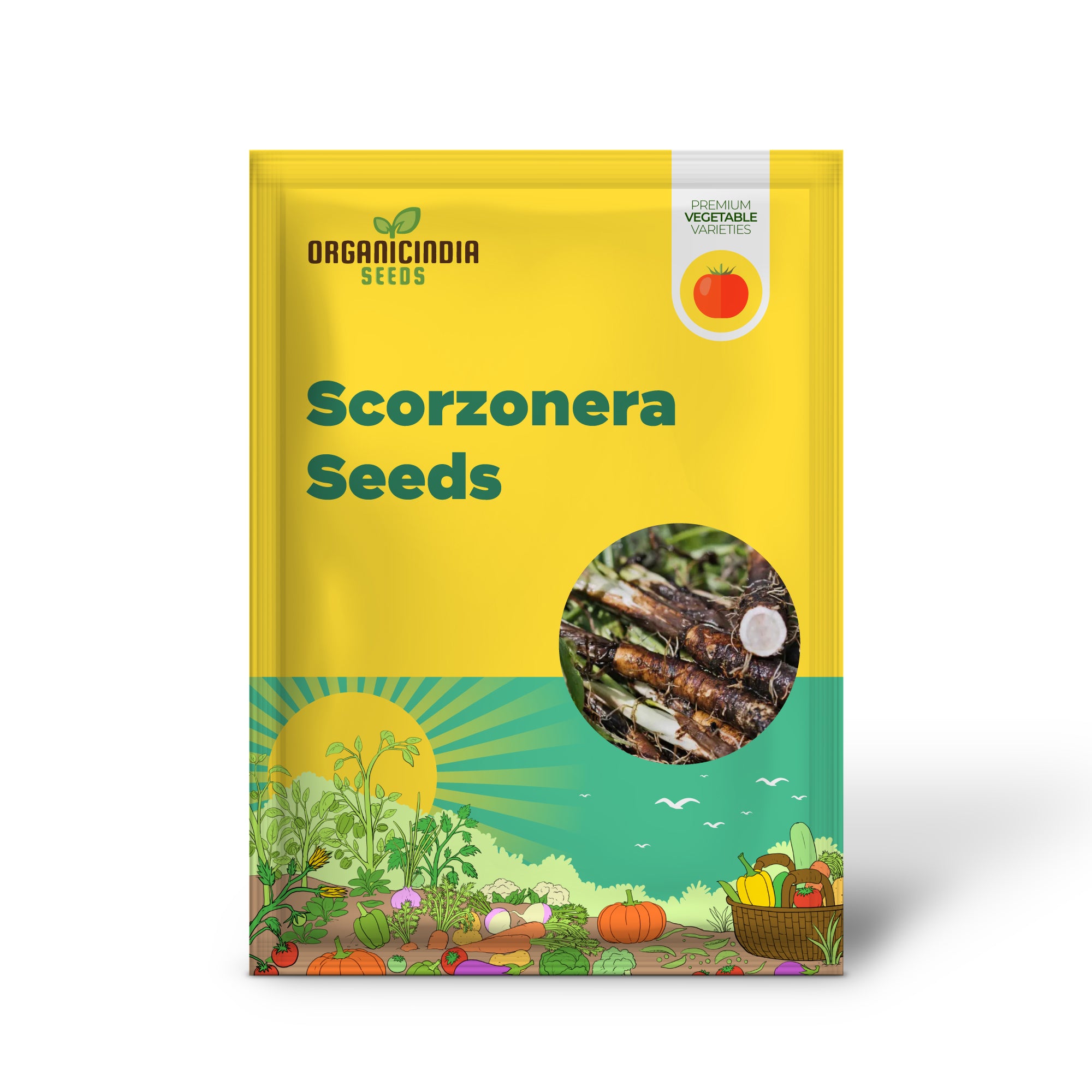 Scorzonera Long Black Maxima Vegetable Seeds: Cultivate Nutritious and Distinctive