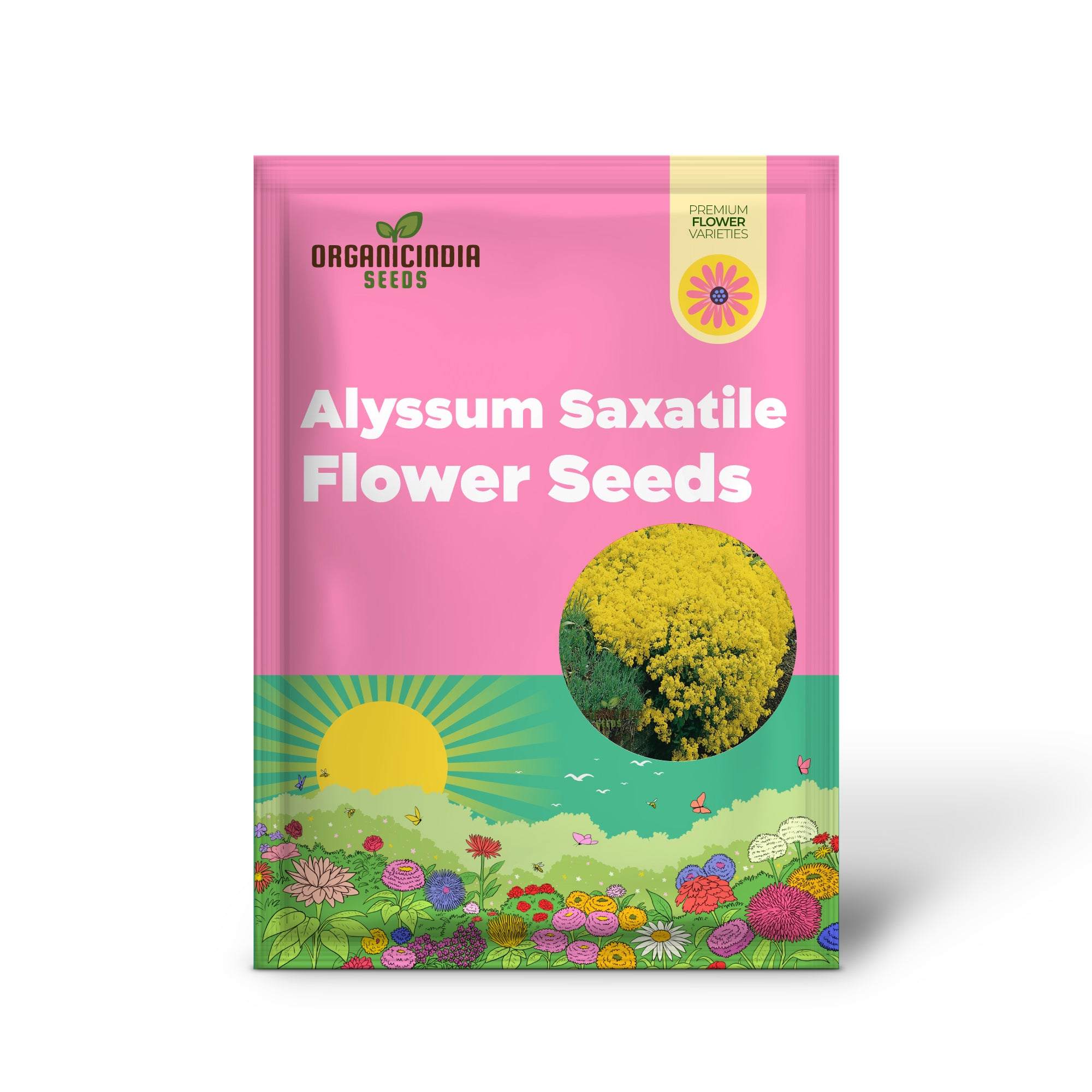 Alyssum Saxatile Compactum Gold Dust Seeds - Grow Compact and Stunning Gold Dust Alyssum in Your Garden