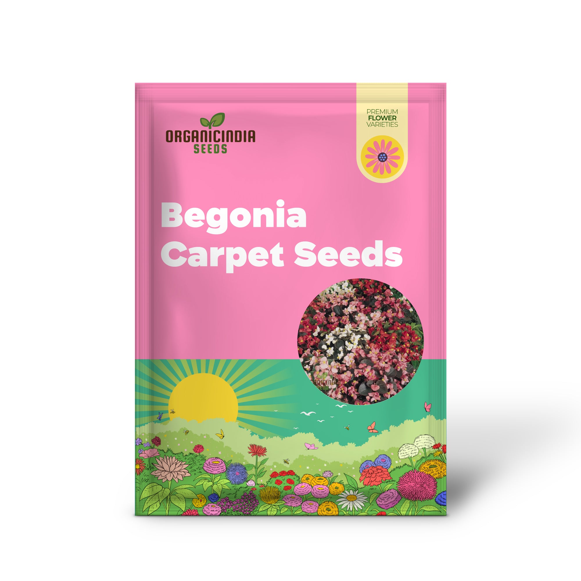 Begonia Sunshine Carpet Seeds – Züchten Sie farbenfrohe und üppige Sunshine Carpet Begonien in Ihrem Garten