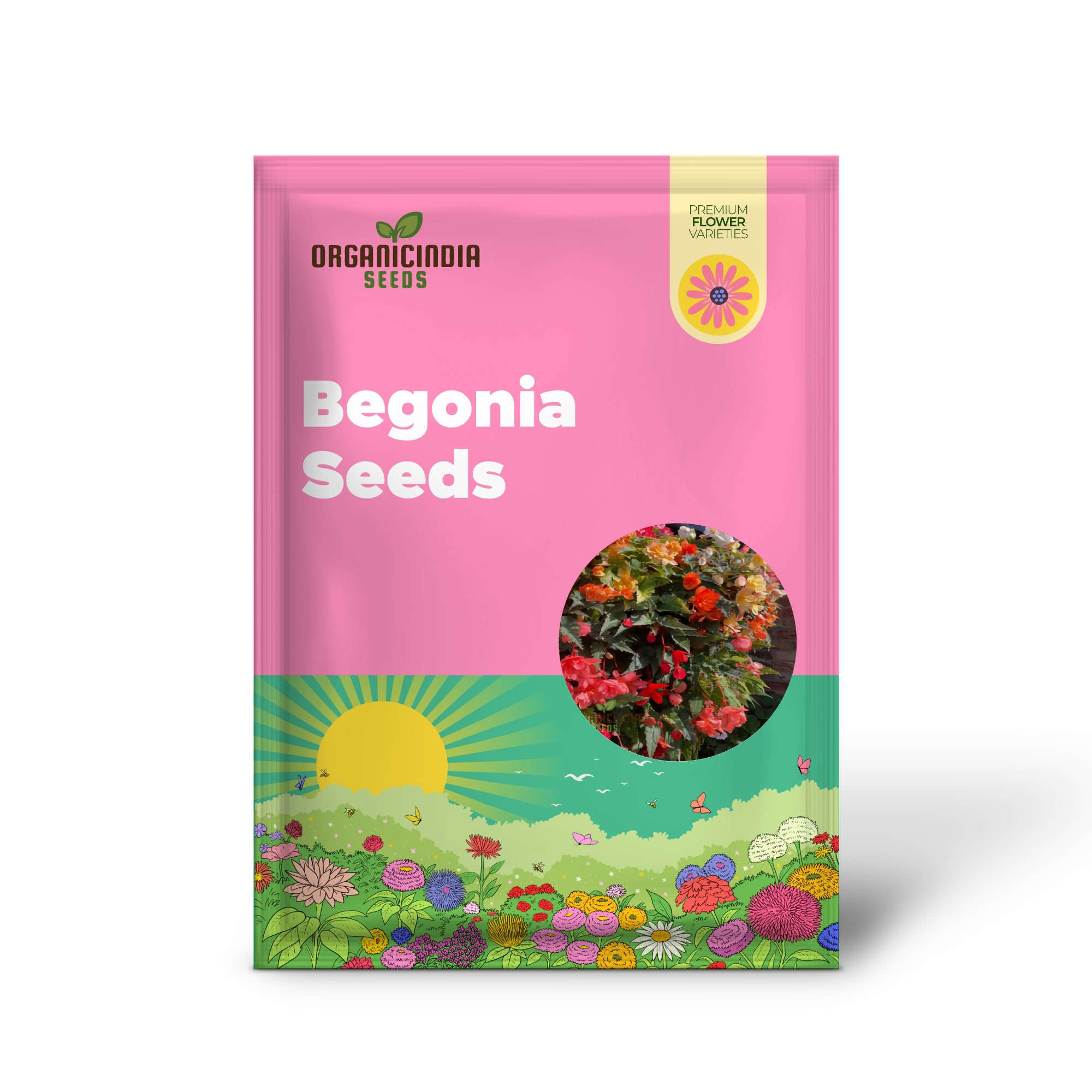 Begonia Illumination Mixed Seeds , Elevate Your Gardening with a Burst of Radiant, Colorful Blooms!