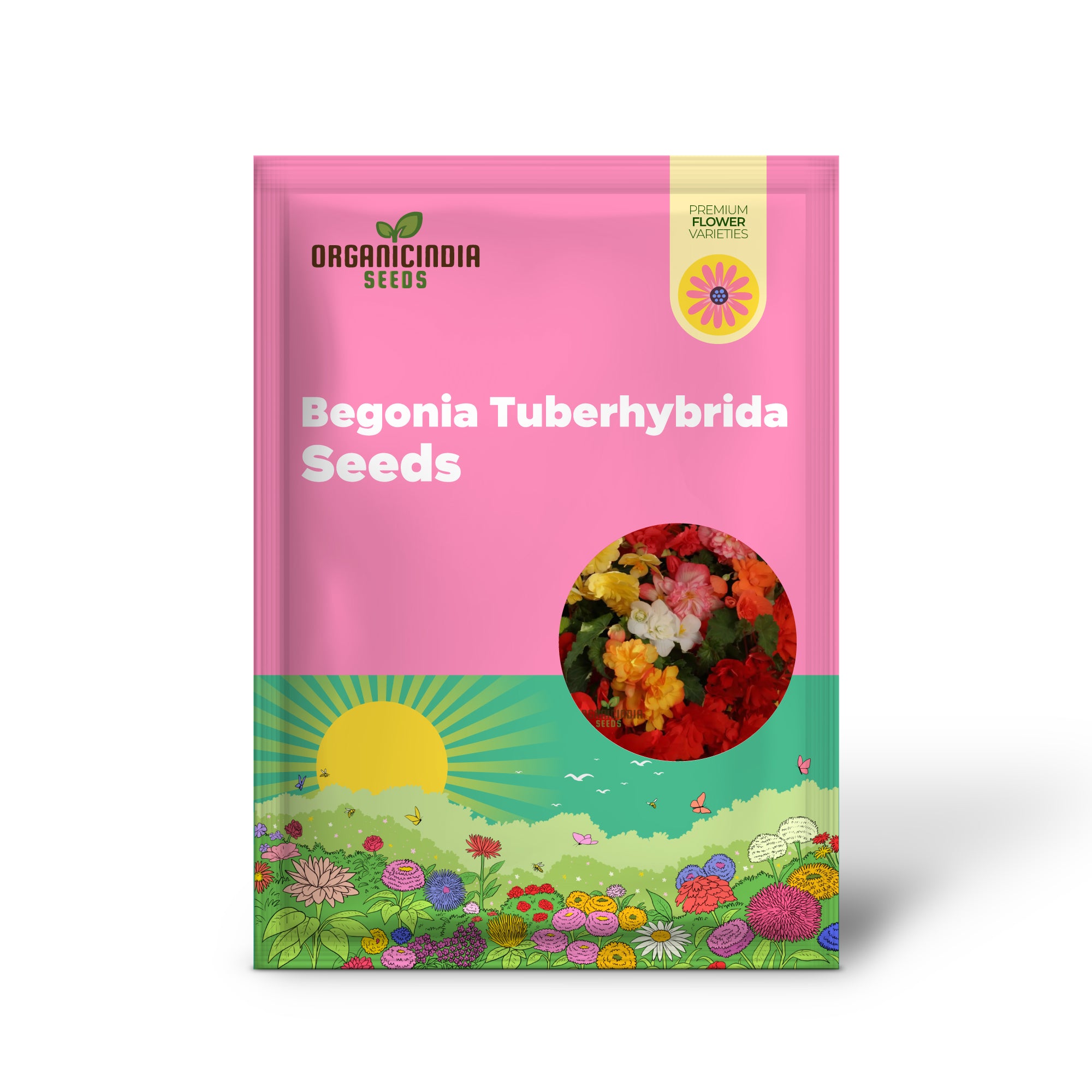 Begonia Tuberhybrida Chanson Mixed F1 Seeds – Enhance Your Garden with Vibrant, Long-Lasting Blooms!