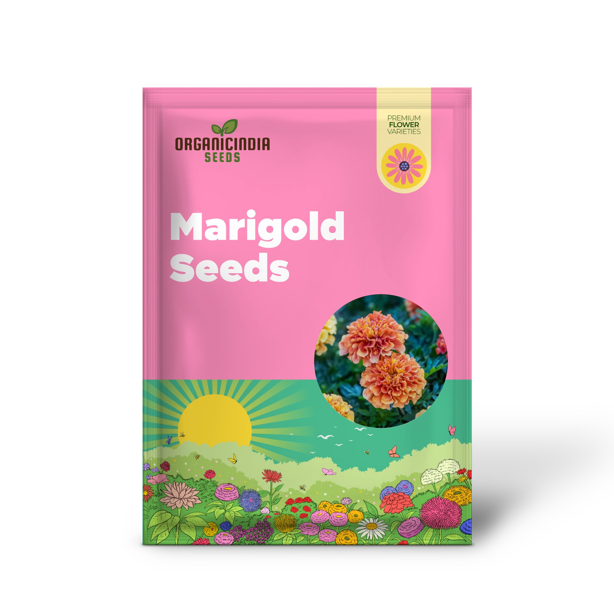 Graines de souci blond fraise français : graines de qualité supérieure pour des fleurs de jardin éclatantes et un jardinage réussi