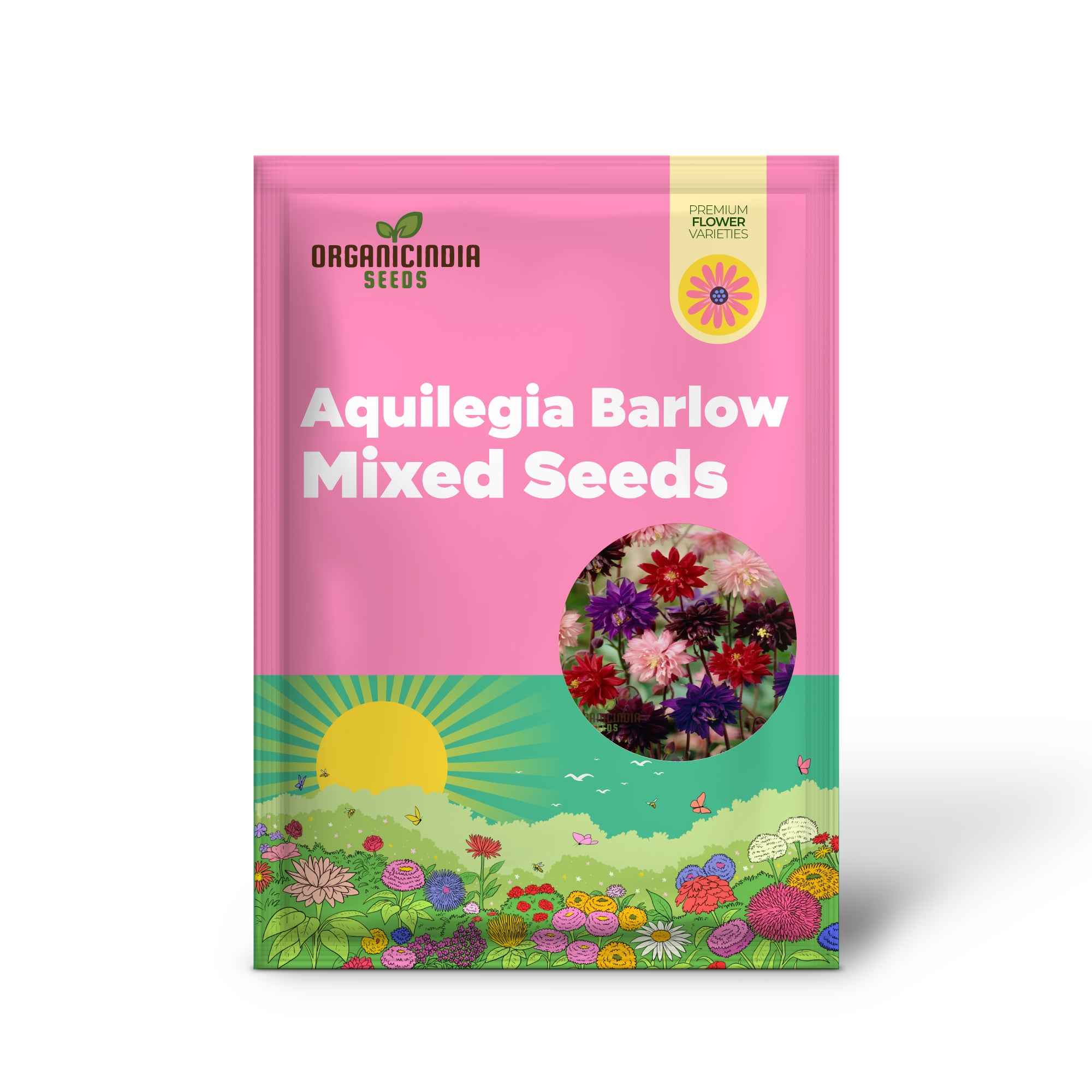 Aquilegia Barlow Mixed Seeds , Elevate Your Gardening Experience with Diverse, Stunning Blooms!