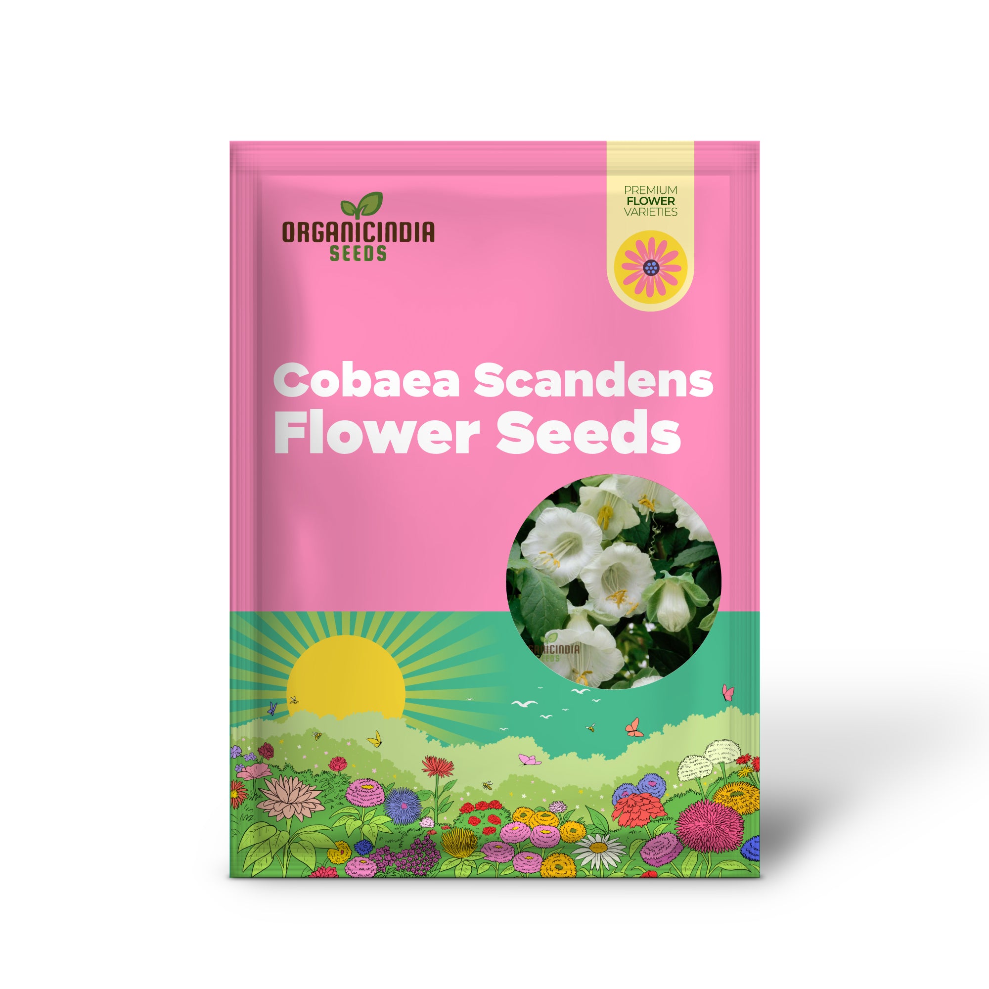 Cobaea Scandens Alba Flower Seeds Grace and Elegance in Your Garden with Expert Planting and Gardening