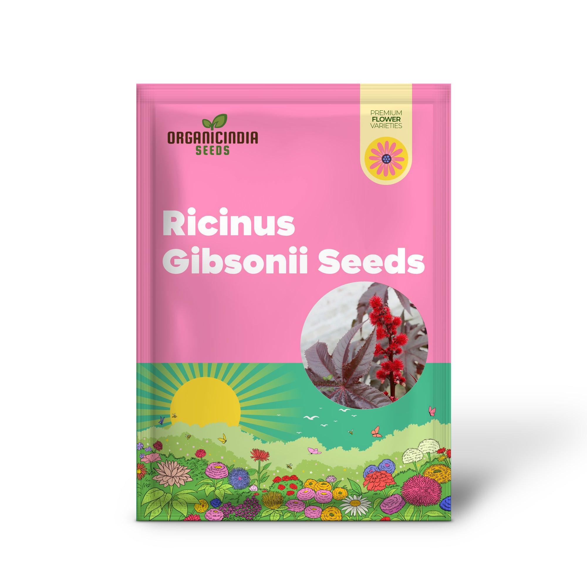 Ricinus Gibsonii Seeds - Grow Stunning and Exotic Gibsonii Castor Beans in Your Garden