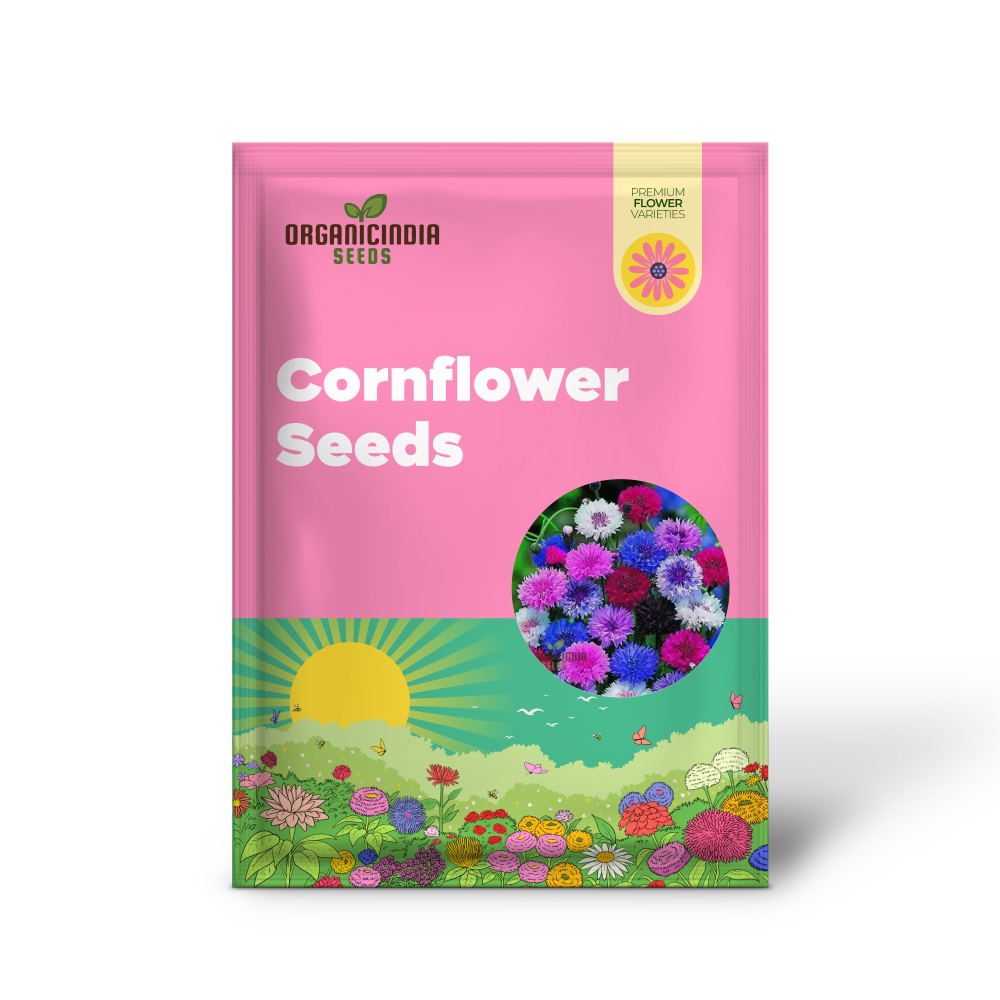 Cornflower Double Mixed Flower Seeds, Enhance Your Garden with Vibrant Blooms Using Expert Planting and Gardening Methods