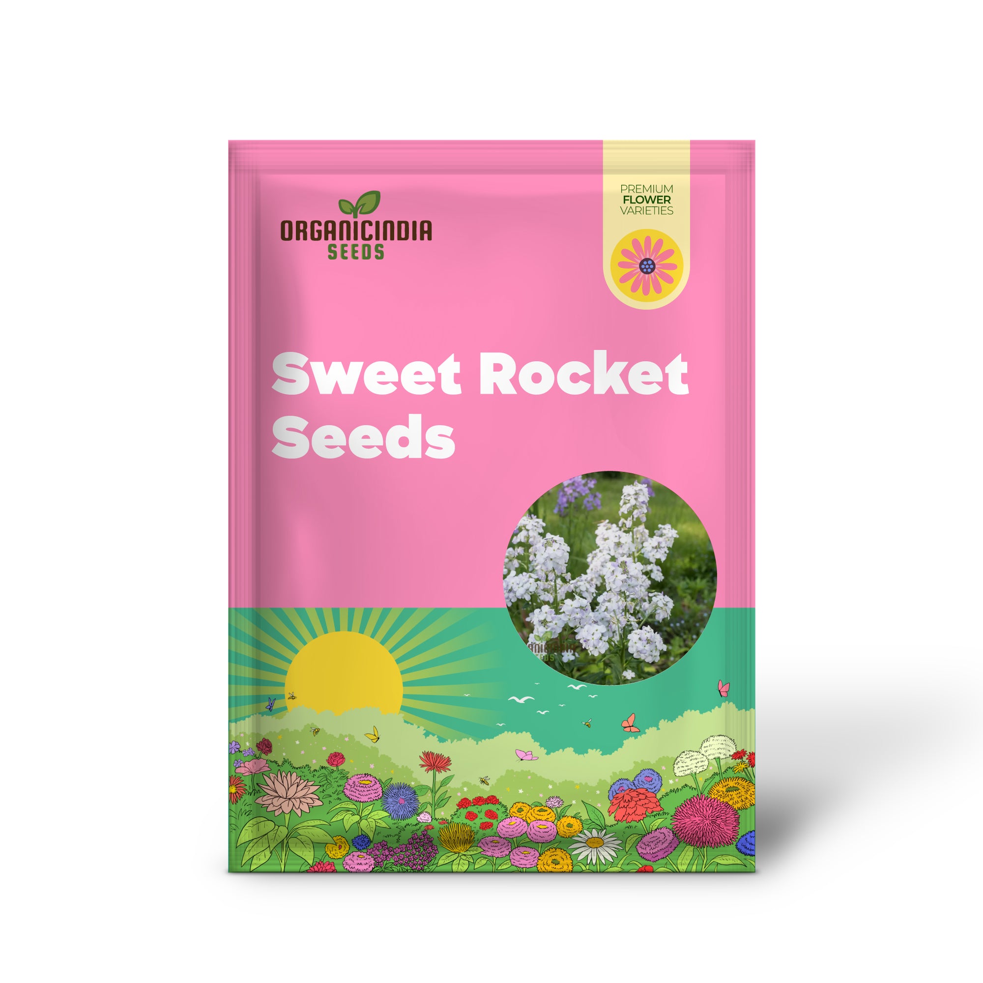 Sweet Rocket Seeds For Planting: Discover Fragrant Blooms and Beauty for Your Outdoor Oasis"