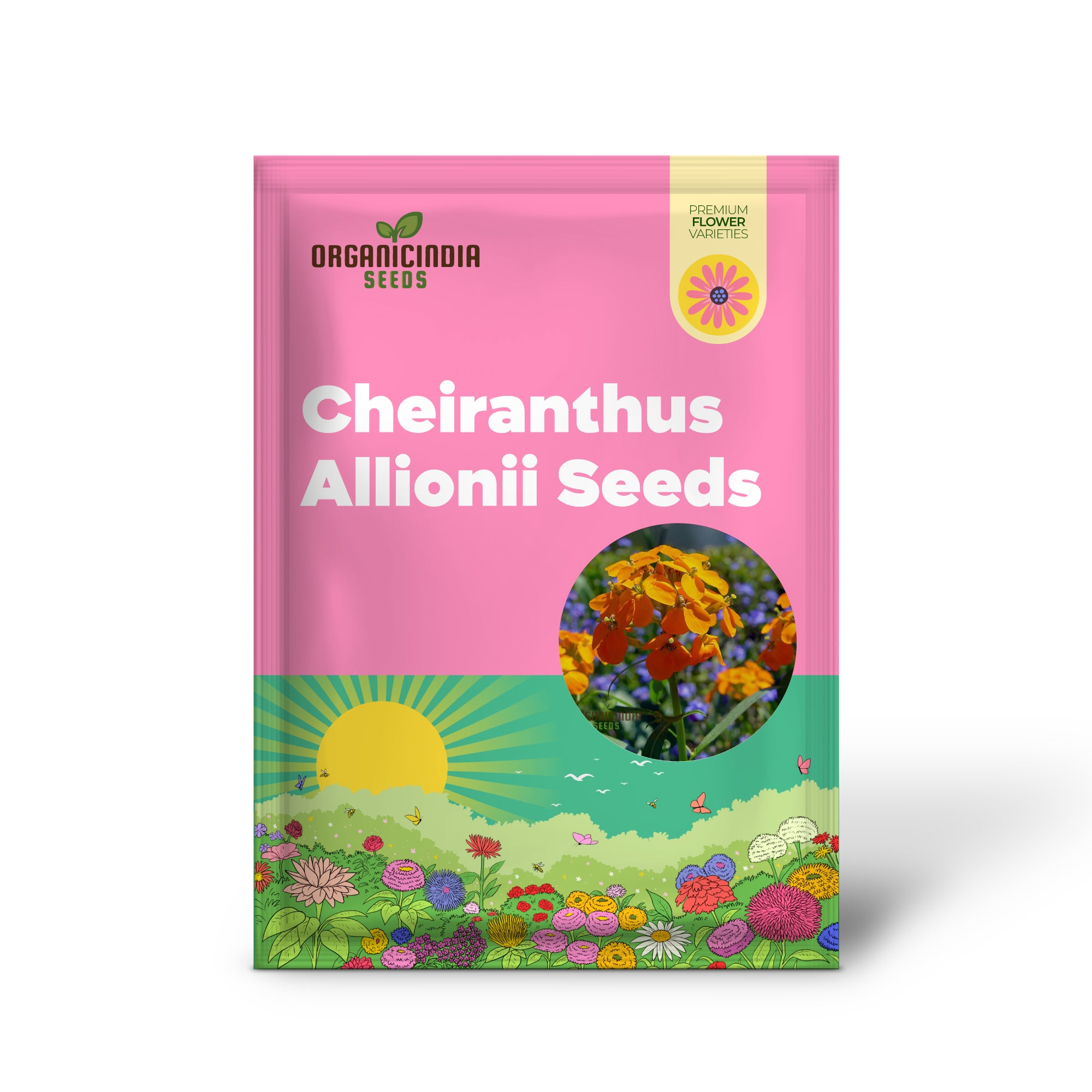 Cheiranthus Allionii-Samen – Züchten Sie kräftige und duftende Goldlack-Allionii in Ihrem Garten