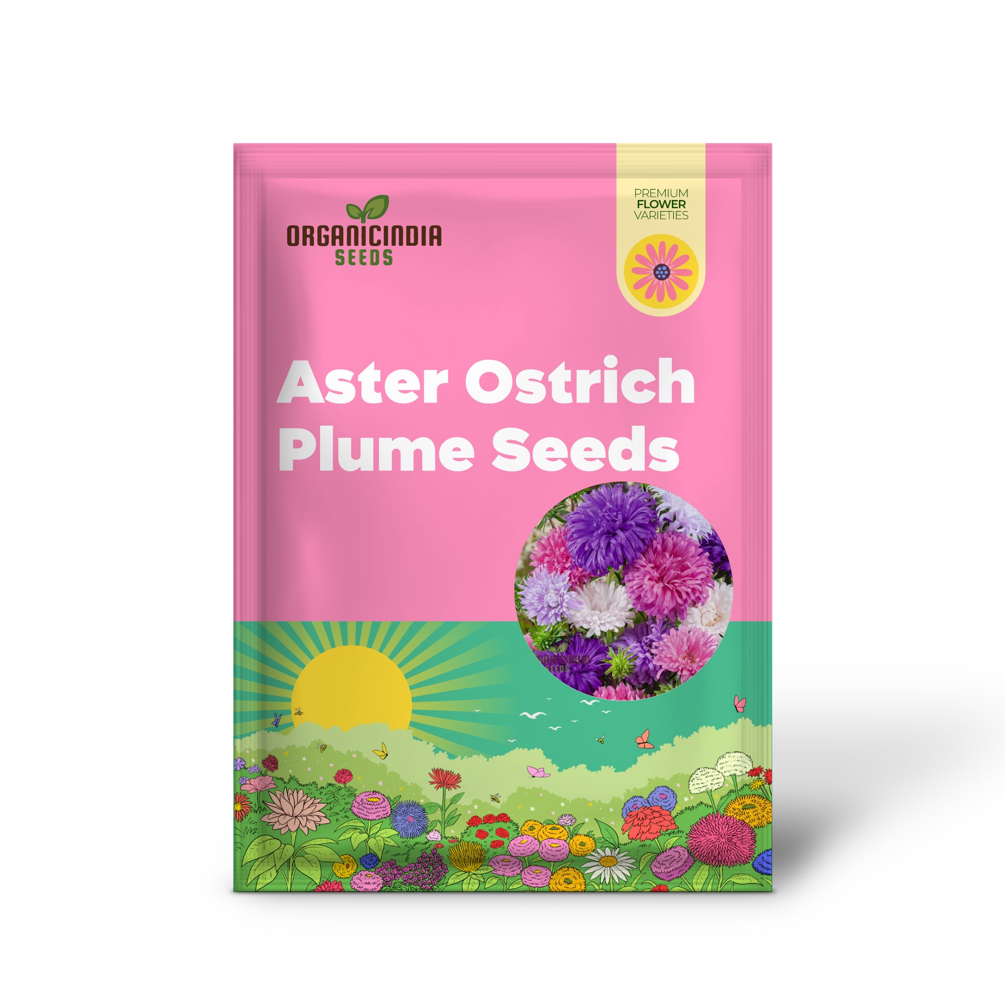 Aster-Straußenfedersamen – Züchten Sie elegante, federartige Blüten für Ihren Garten