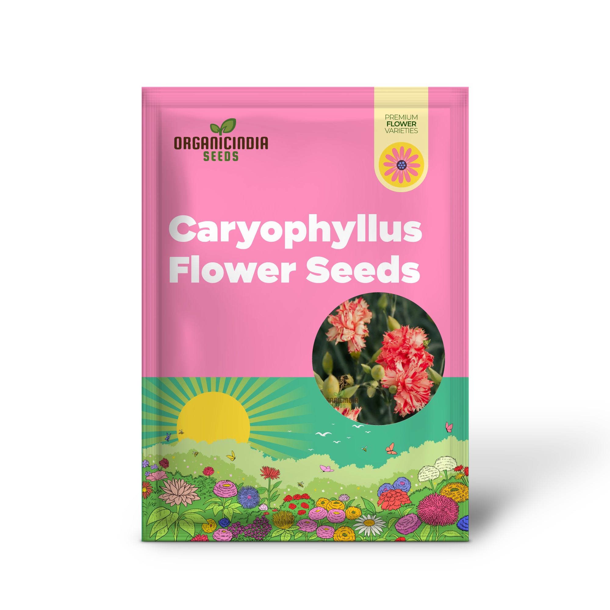 Nelkensamen „Caryophyllus Orange Sherbet“ – Züchten Sie leuchtend orangefarbene Sherbet-Nelken in Ihrem Garten