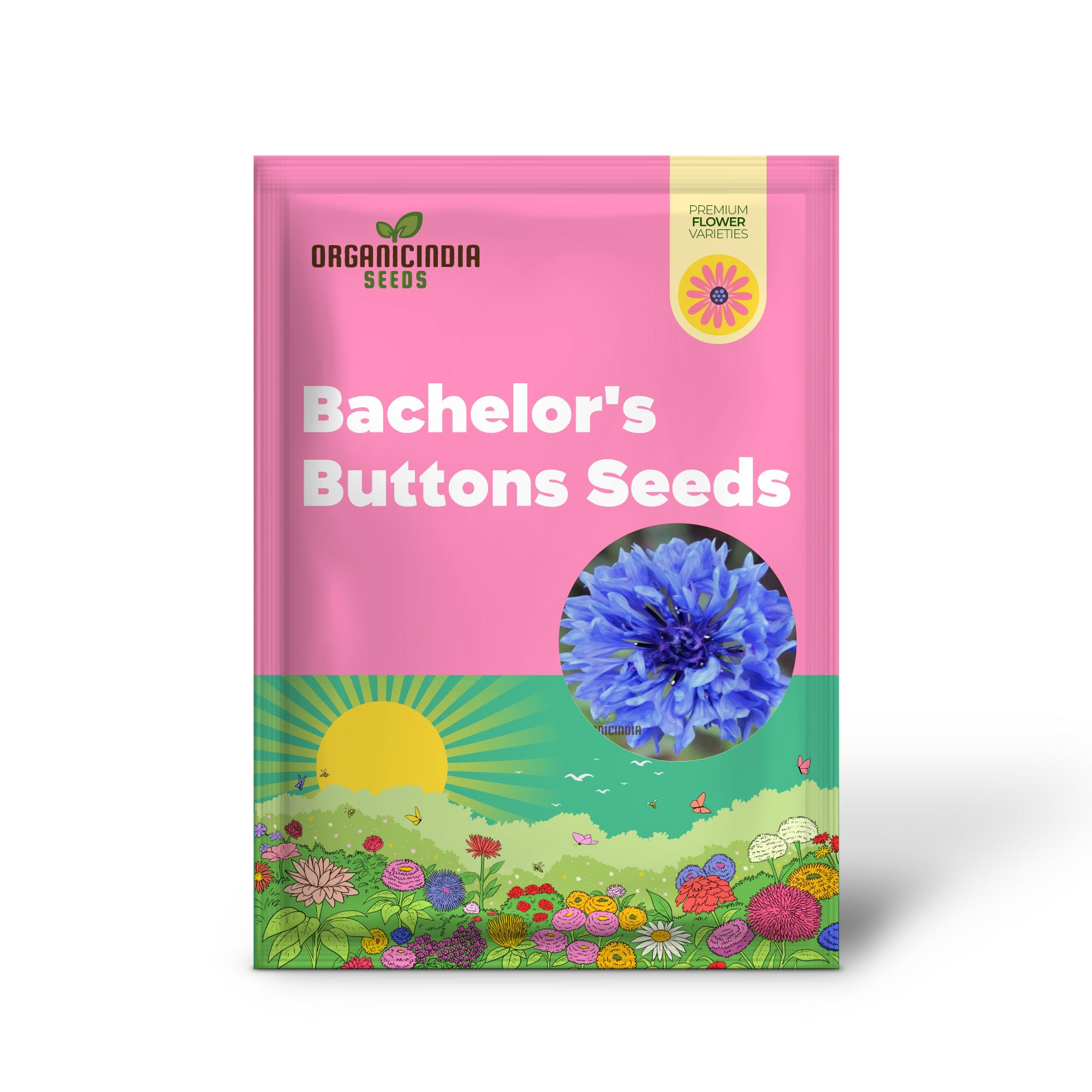 Blue Boy Bachelor's Buttons Samen - Perfekt für lebendige Gartenblumen, einfaches Pflanzen und Gärtnern