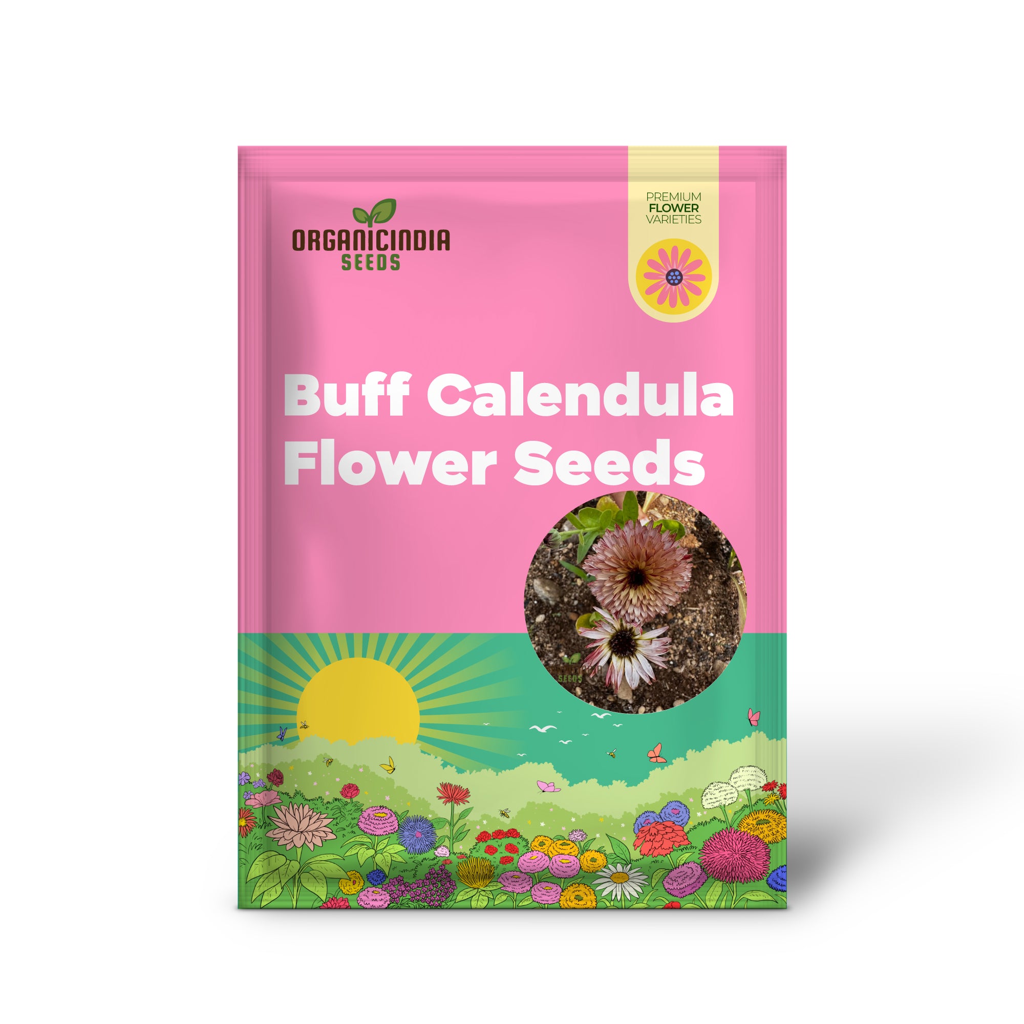 Touch of Red Buff Calendula Flower Seeds, Premium Garden Seeds for Vibrant Blooms, Gardening