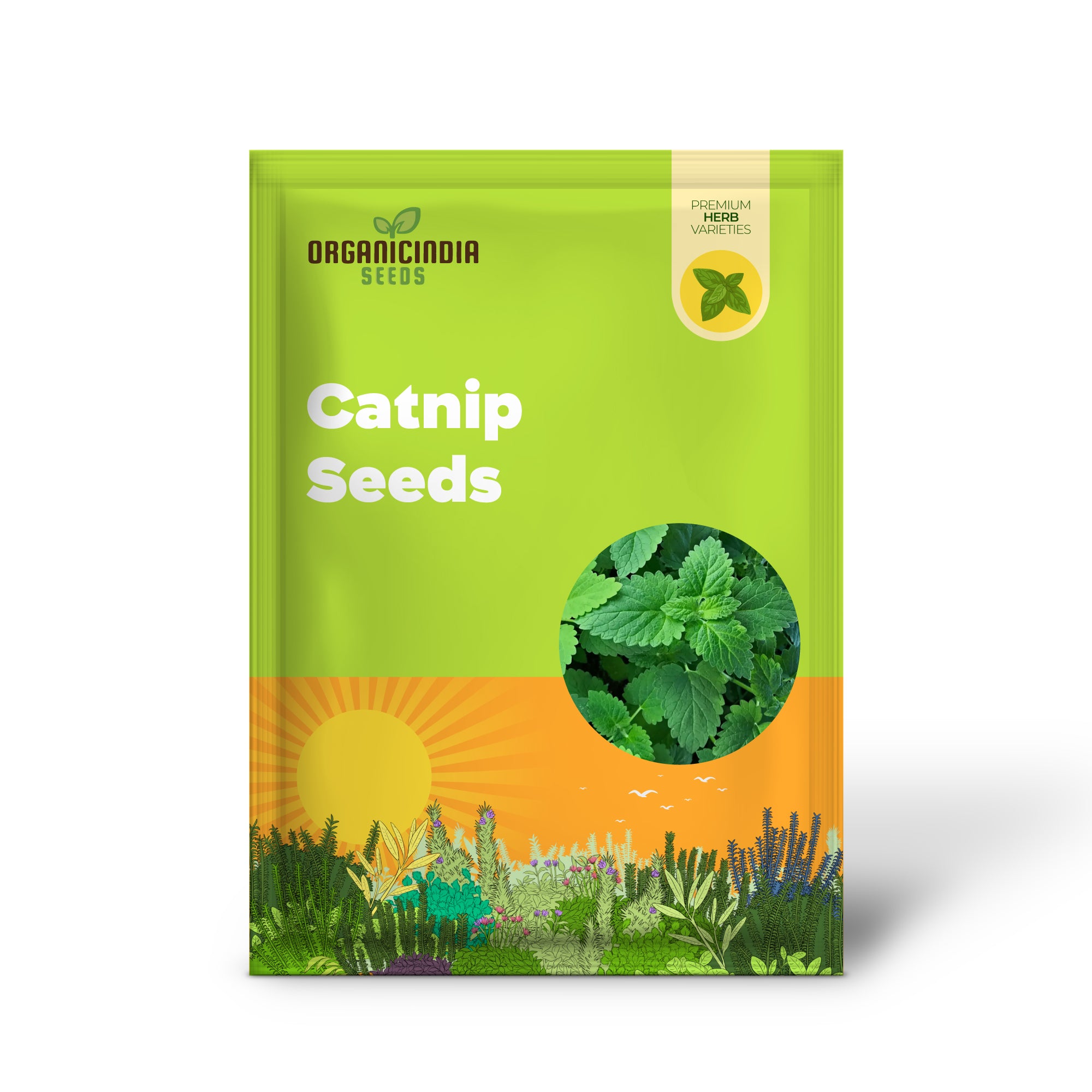 Bio-Katzenminze-Samen: Premium-Gartensorte für gesunde Katzen und üppige Gärten
