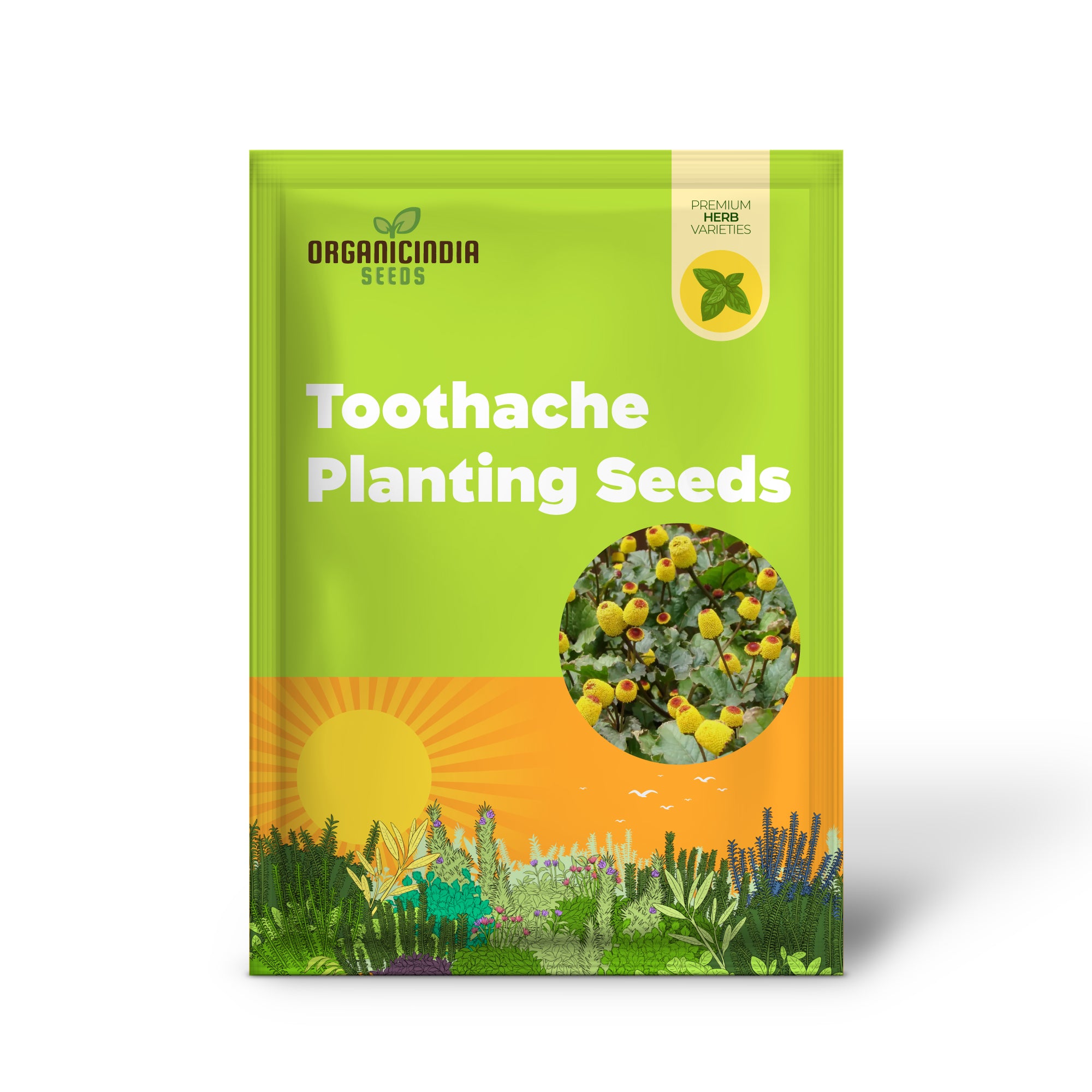 Toothache Planting Seeds, High-Quality Seeds for Medicinal Gardening Enthusiasts, Premium Garden