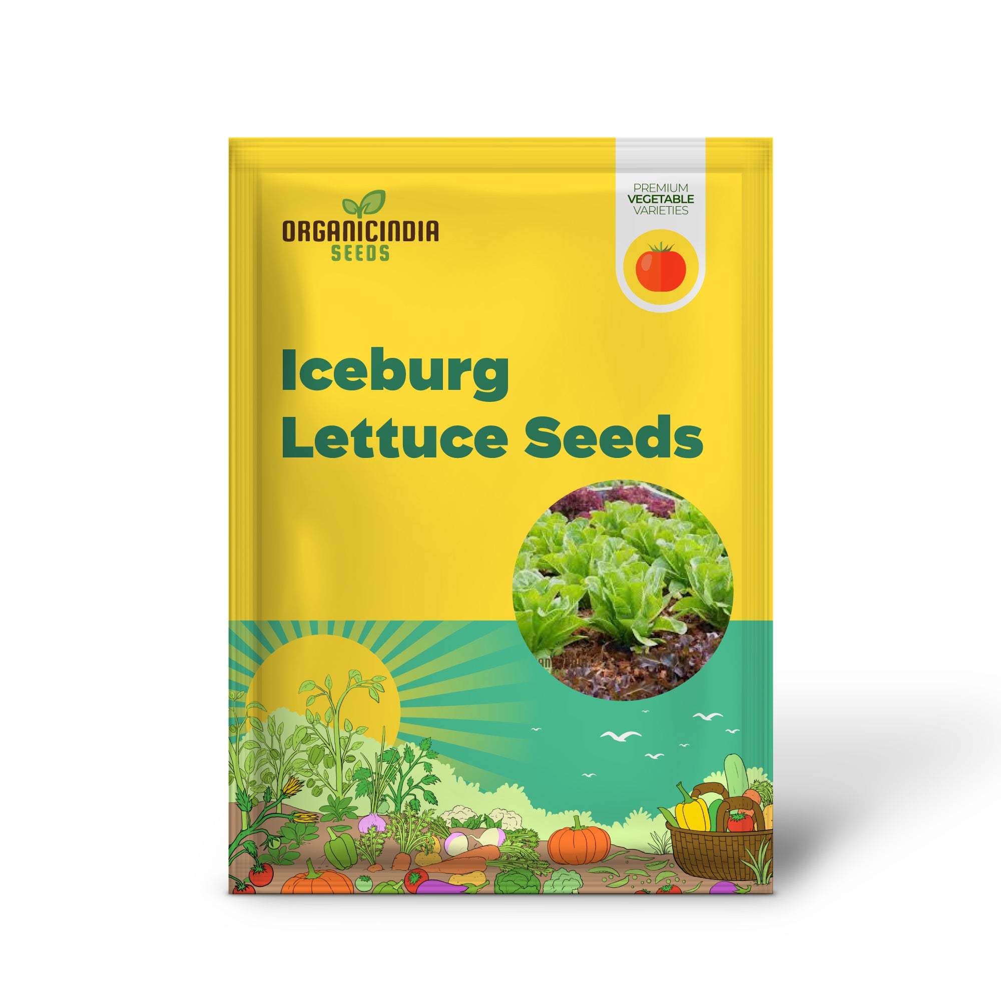 Organic Iceburg Lettuce Seeds for Vibrant Home Gardening | Grow Crisp and Crunchy Iceburg Lettuce in Your Garden with Our High-Quality Seeds