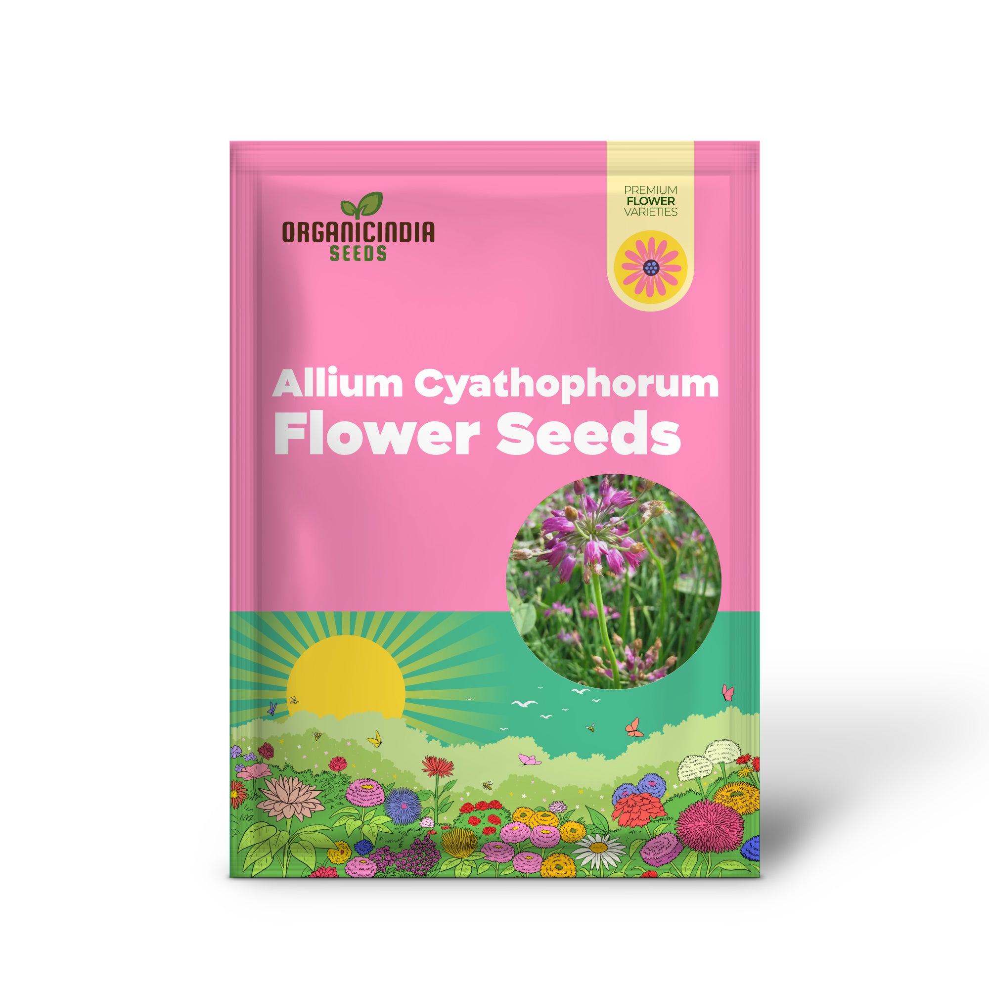 Allium Cyathophorum Var Farreri Flower Seeds for Planting, Exquisite Garden Seeds for Plant Enthusiasts