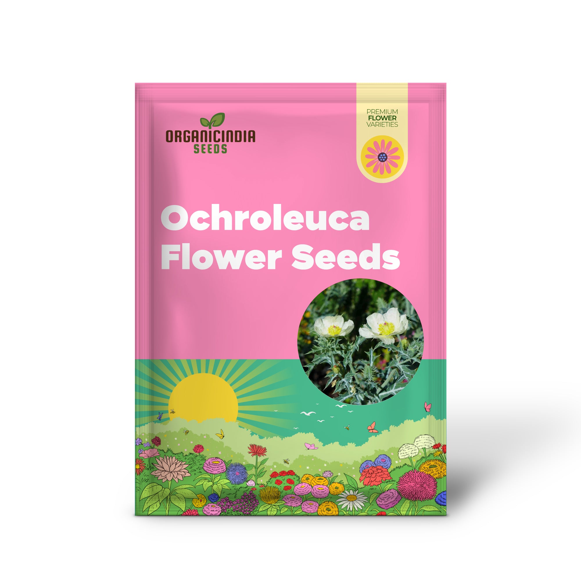 Argemone Ochroleuca Flower Seeds For Planting: Resplendent Yellow Prickly Poppy for Your Gardening Delight"