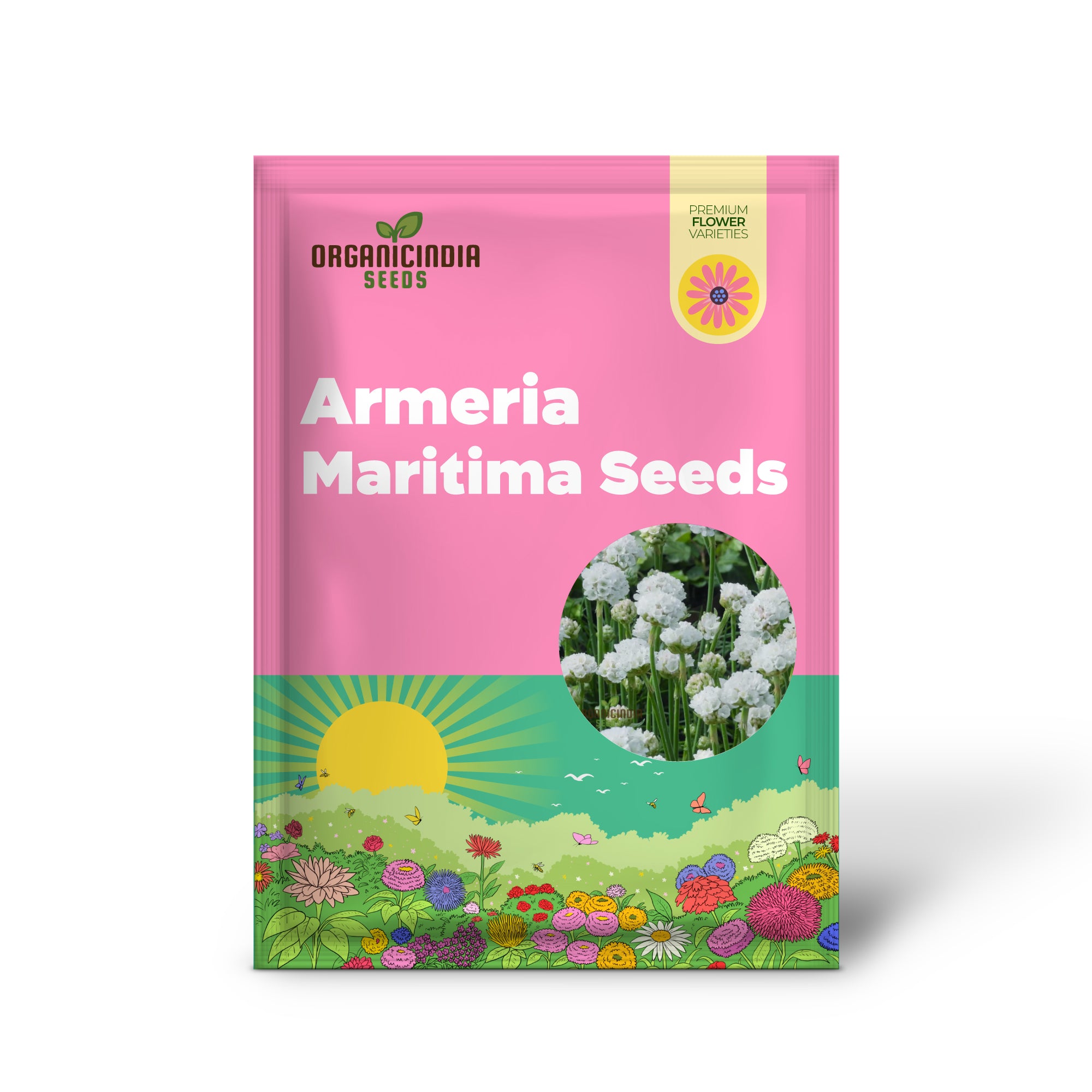 Armeria Maritima 'Morning Star White' Seeds For Planting- Elegant Coastal Thrift for Your Garden: Delight in Long-Lasting Beauty