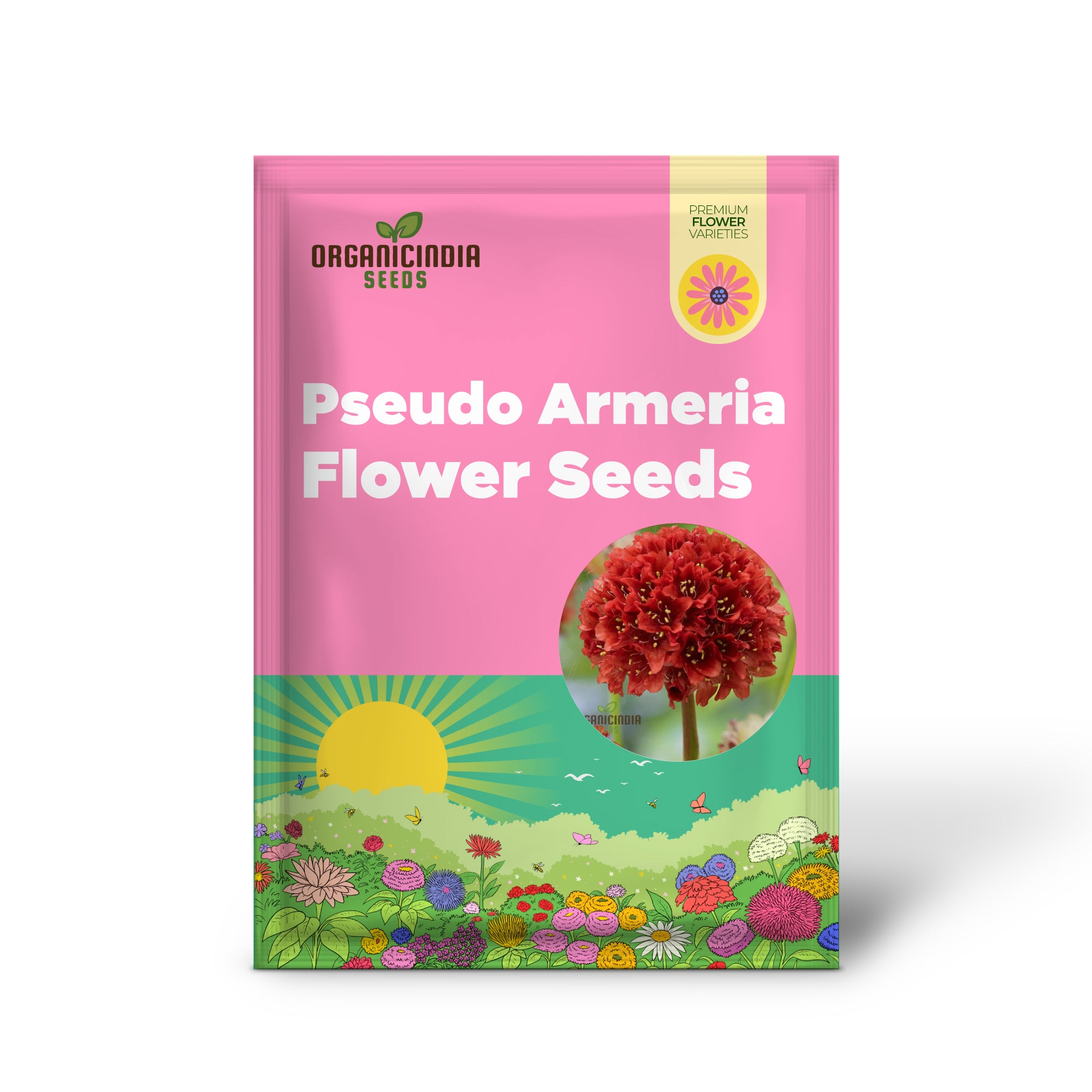 Armeria Pseudarmeria Ballerina, rote Blumensamen zum Anpflanzen – lebendige Blüten für Ihren Garten: winterharte Staude für farbenfrohe Arrangements