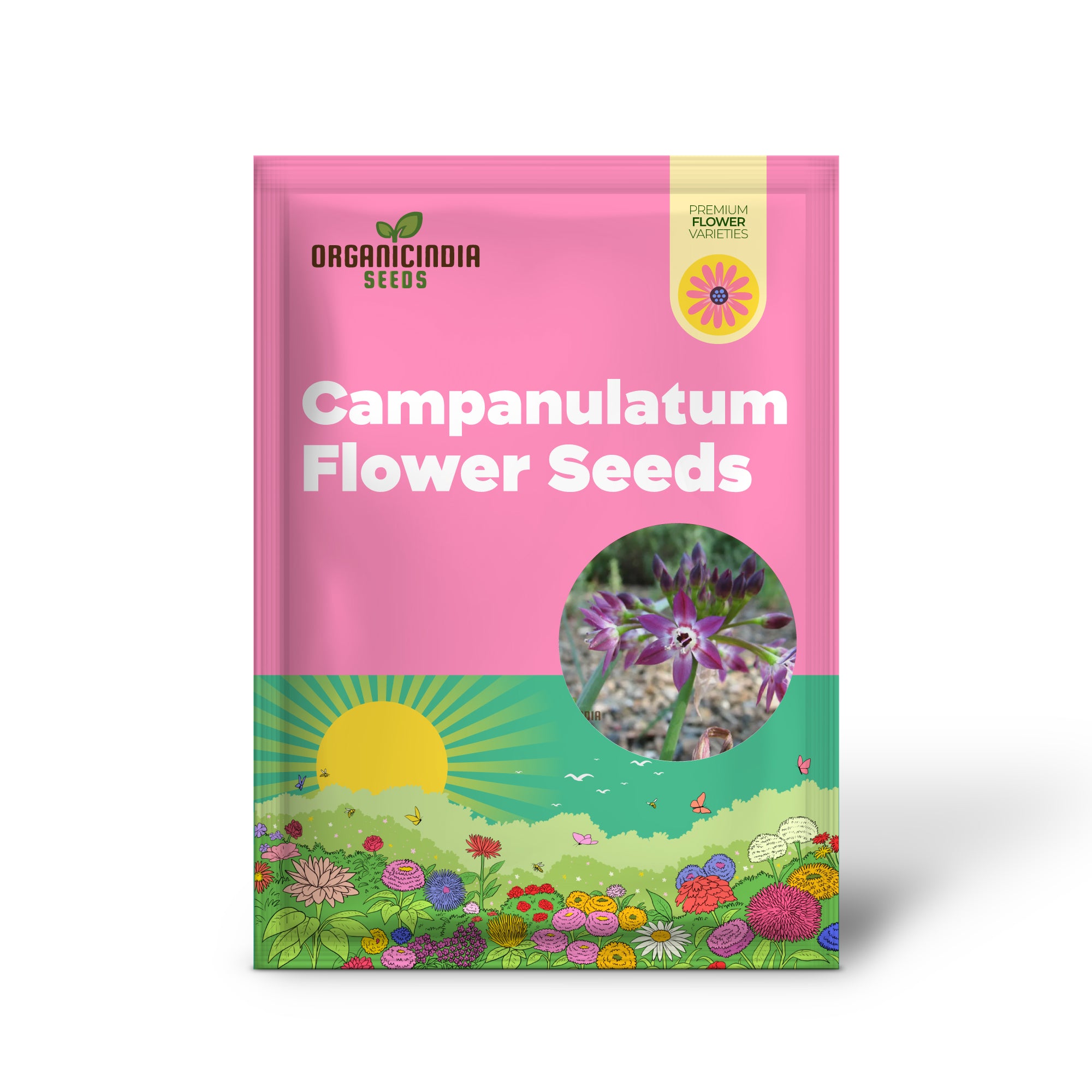 Allium campanulatum Flower Seeds, Cultivating Graceful Blooms with Expert Planting and Gardening