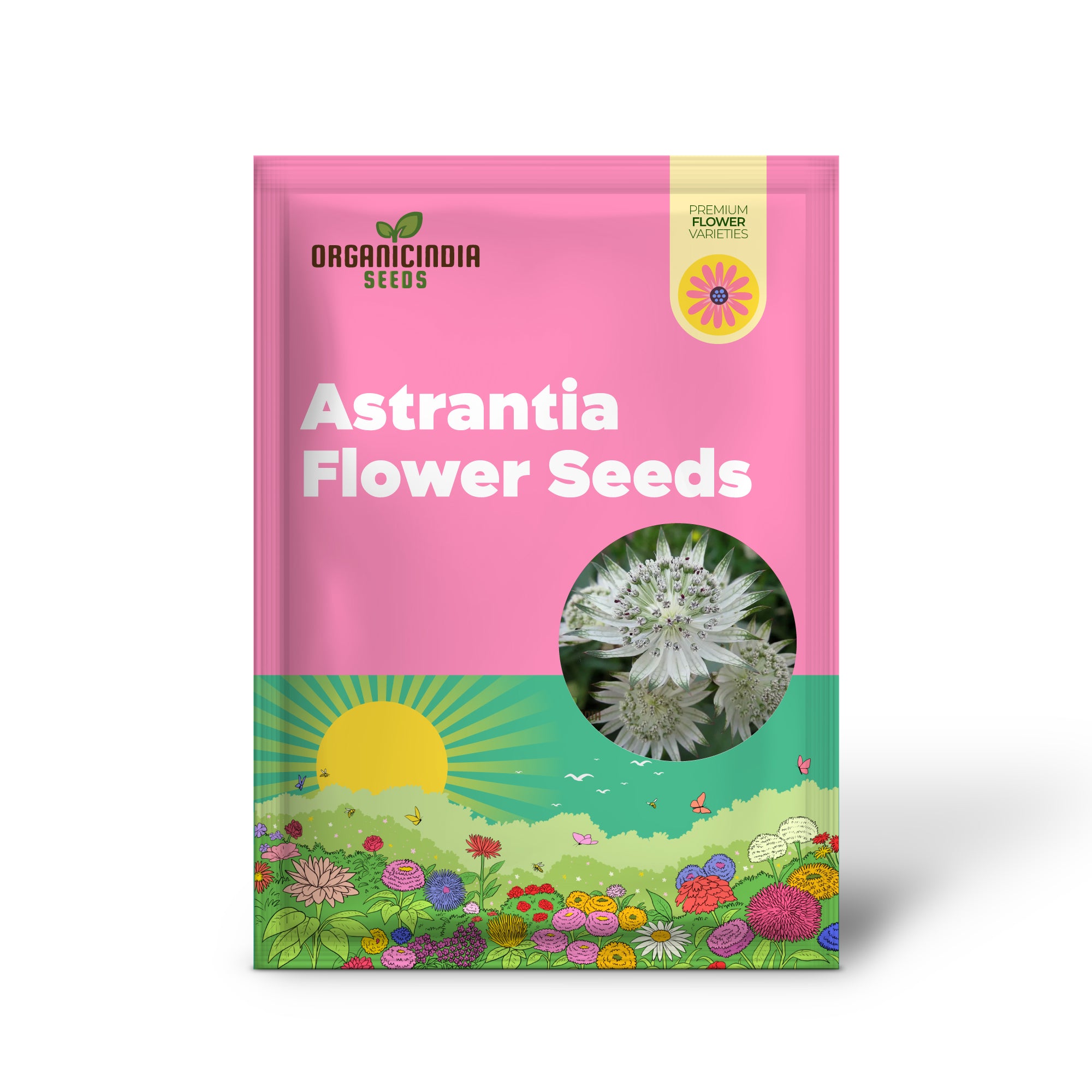 Astrantia Major-Samen zum Anpflanzen: Erstklassige Staude für bezaubernde Gärten | Kaufen Sie winterharte Meisterwurz-Pflanzen online"
