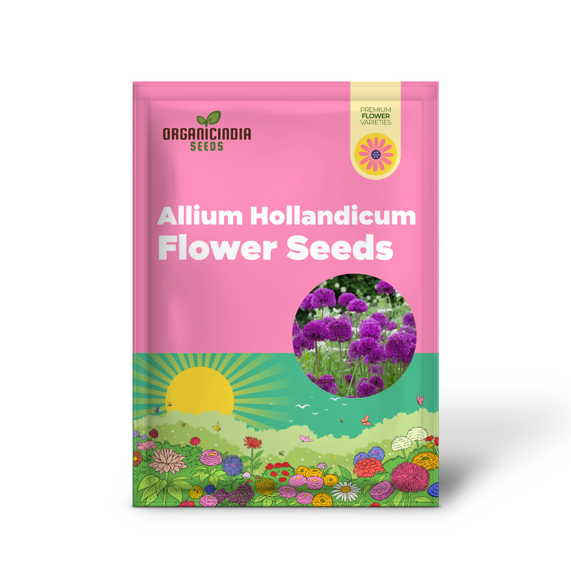 Allium Hollandicum 'Purple' Seeds for Planting, Premium Flower Seeds for Gardeners, Enhance Your Garden