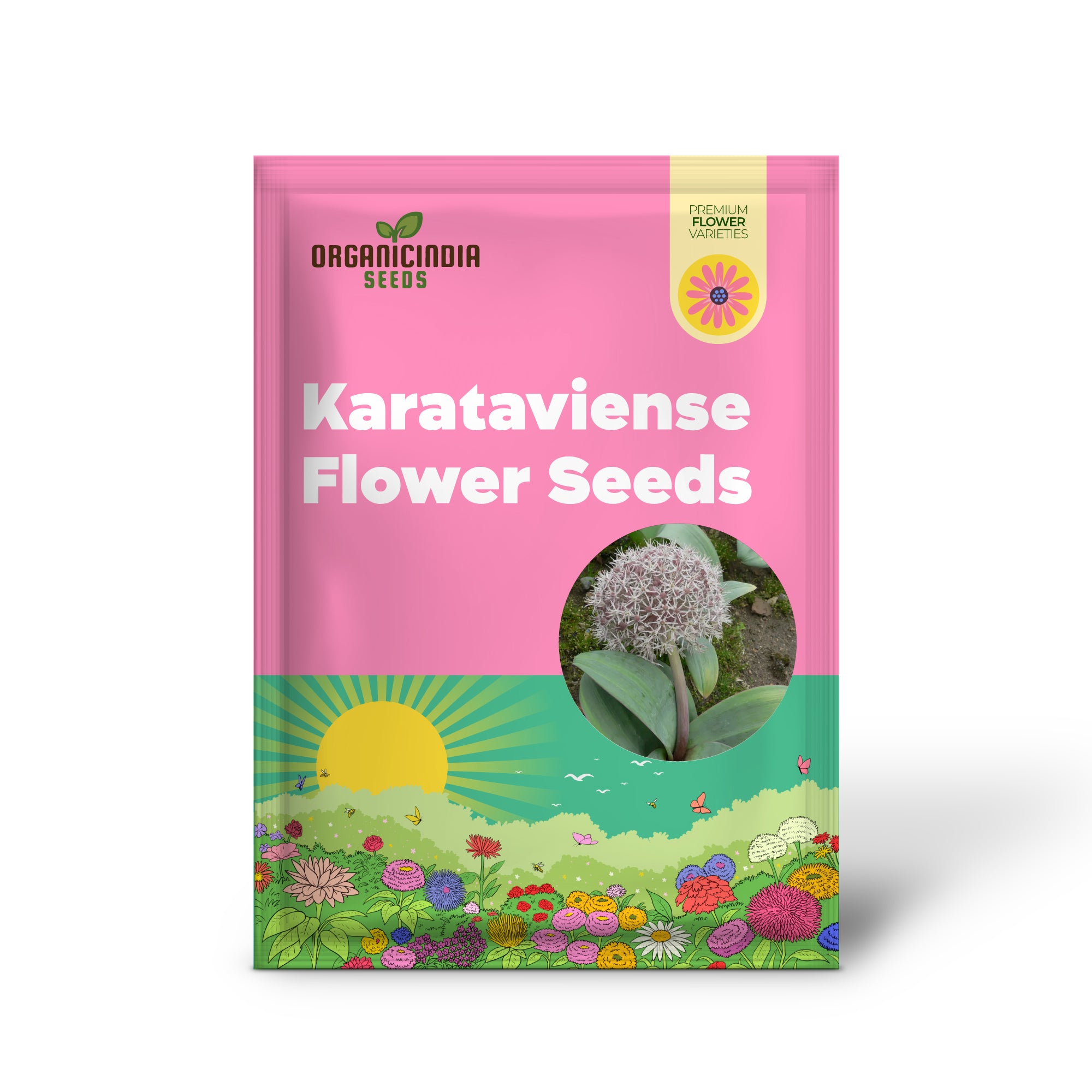 Allium Karataviense Flower Seeds for Planting, Premium Quality Seeds for Your Garden