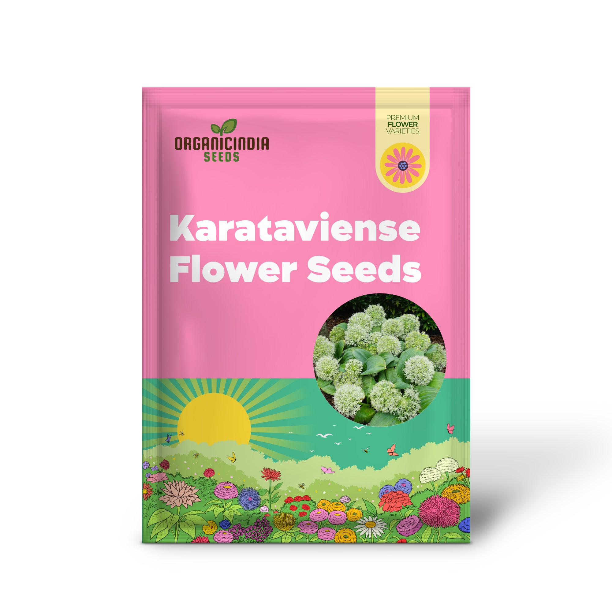 Allium Karataviense 'Ivory Queen' Flower Seeds, Premium Seeds for Planting and Gardening