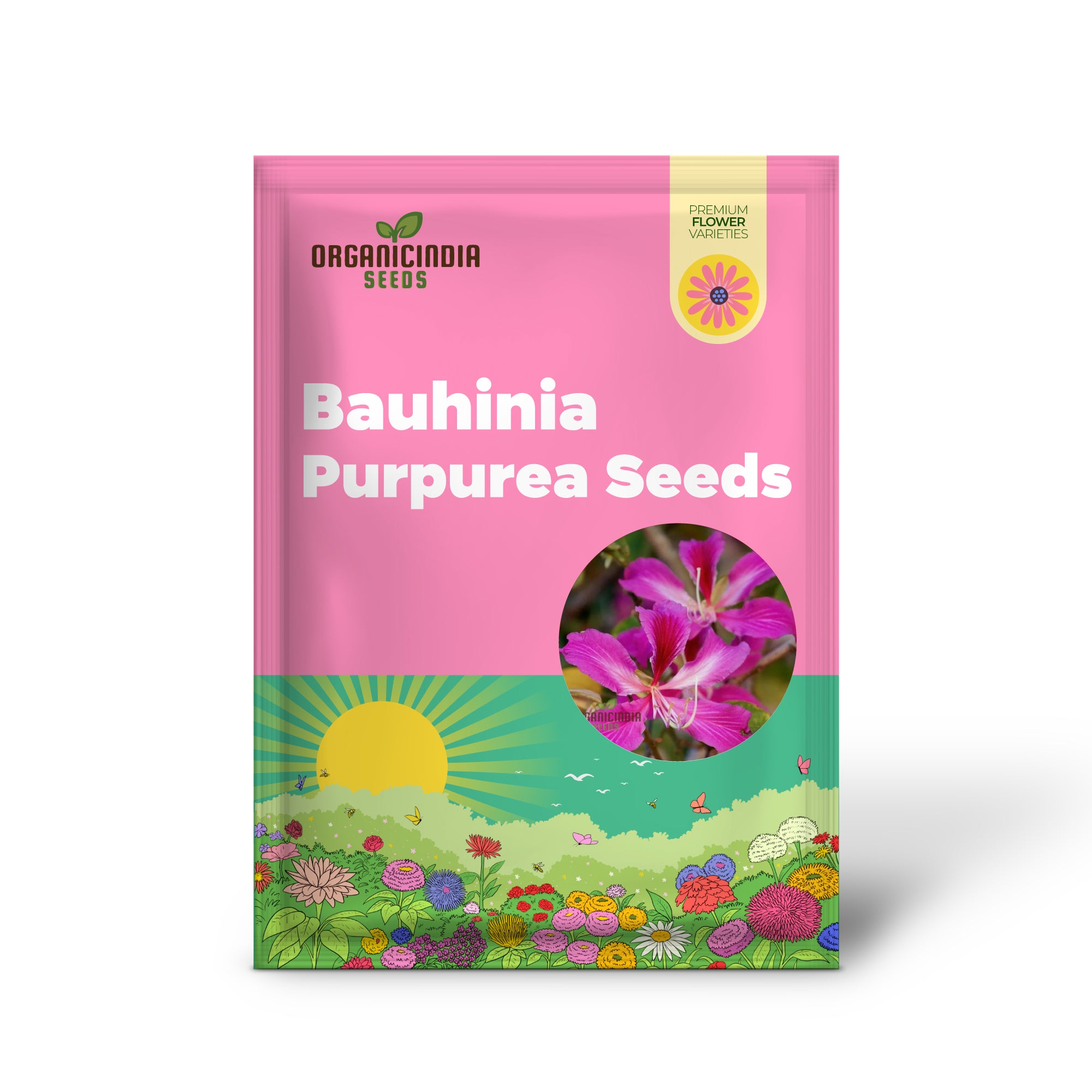 Bauhinia Purpurea-Samen zum Anpflanzen: Seltener Orchideenbaum für Ihre ruhige Gartenoase – Jetzt einkaufen