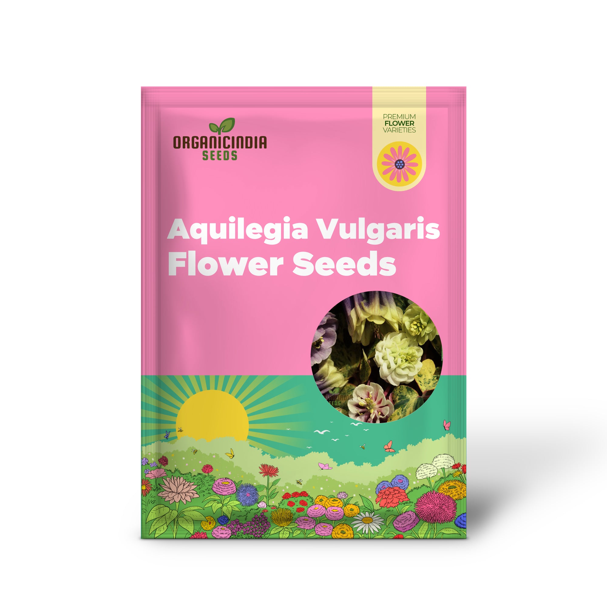 Aquilegia Vulgaris 'Alchemist's Gold' Seeds - Exquisite Gardening Perennials for Beautiful Blooms