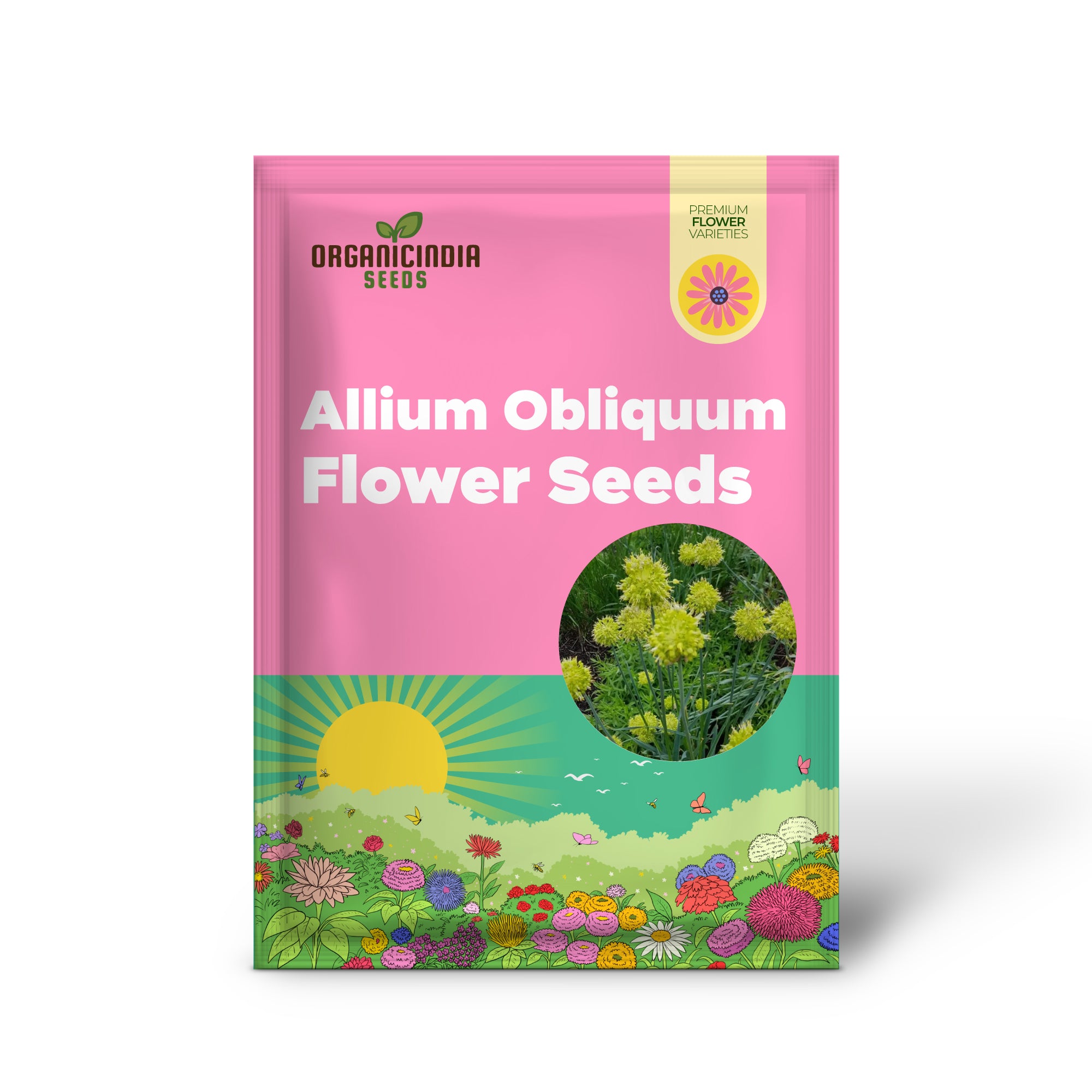 Allium Obliquum Flower Seeds Premium Quality Seeds for Stunning Garden