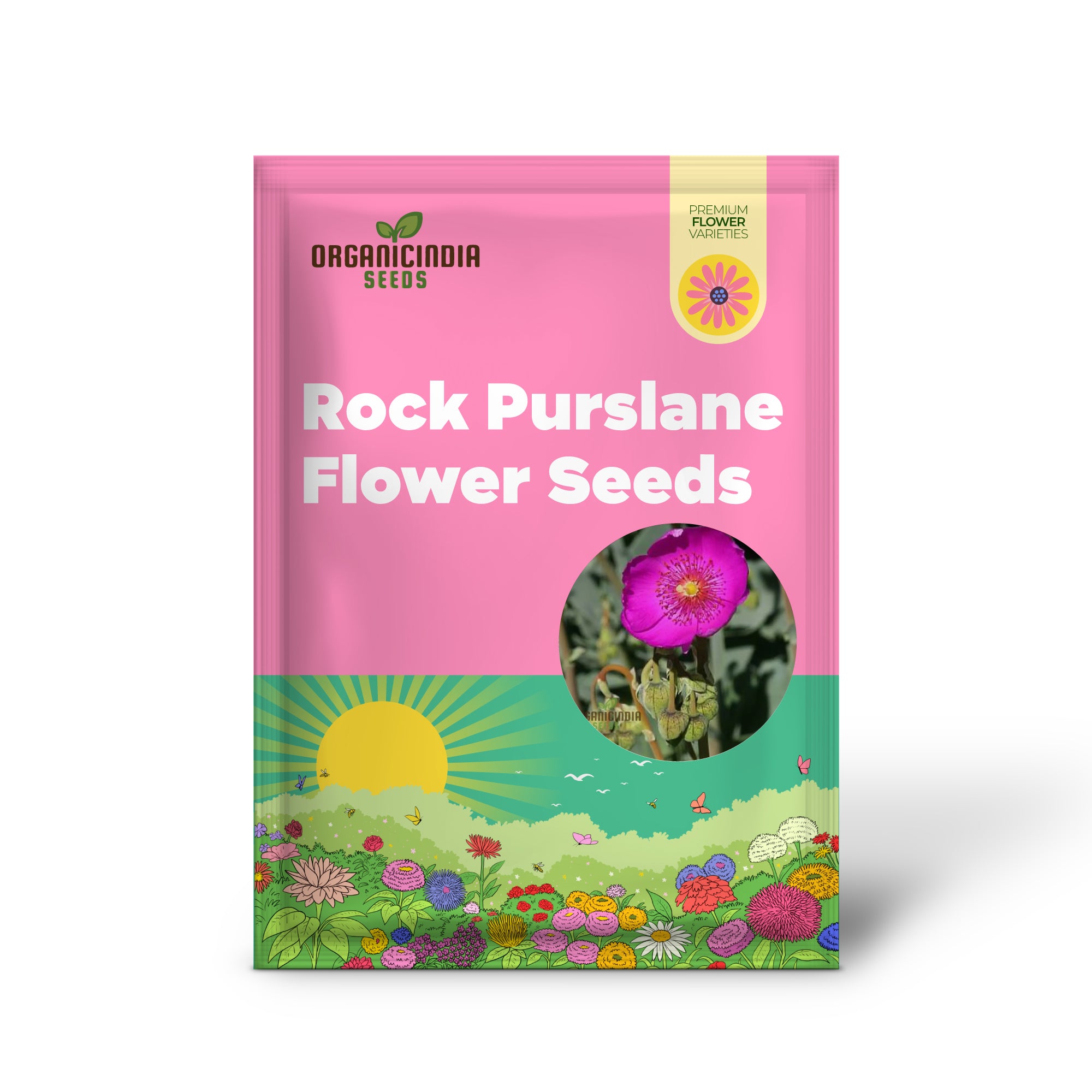 Calandrinia Grandiflora or Rock Purslane flower seeds for Planting, Enhance Your Flower Gardening