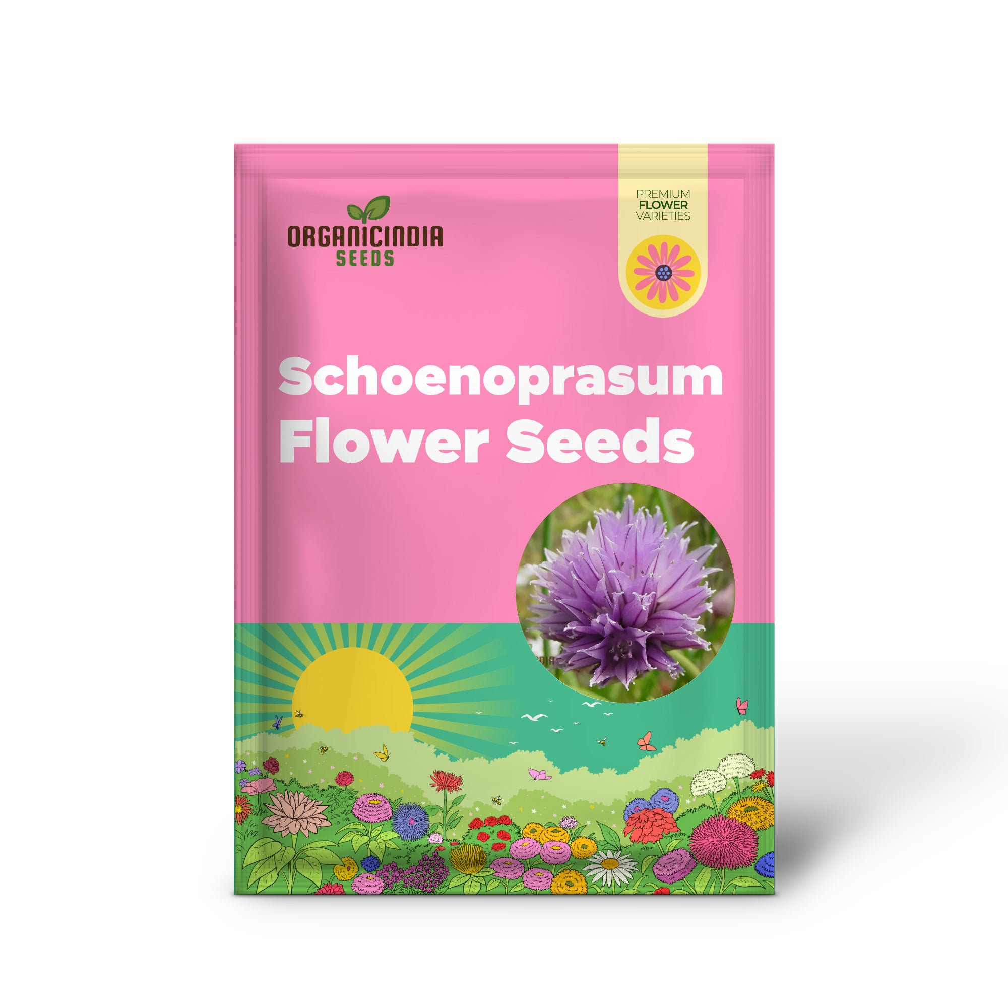 Allium Schoenoprasum Flower Seeds for Planting