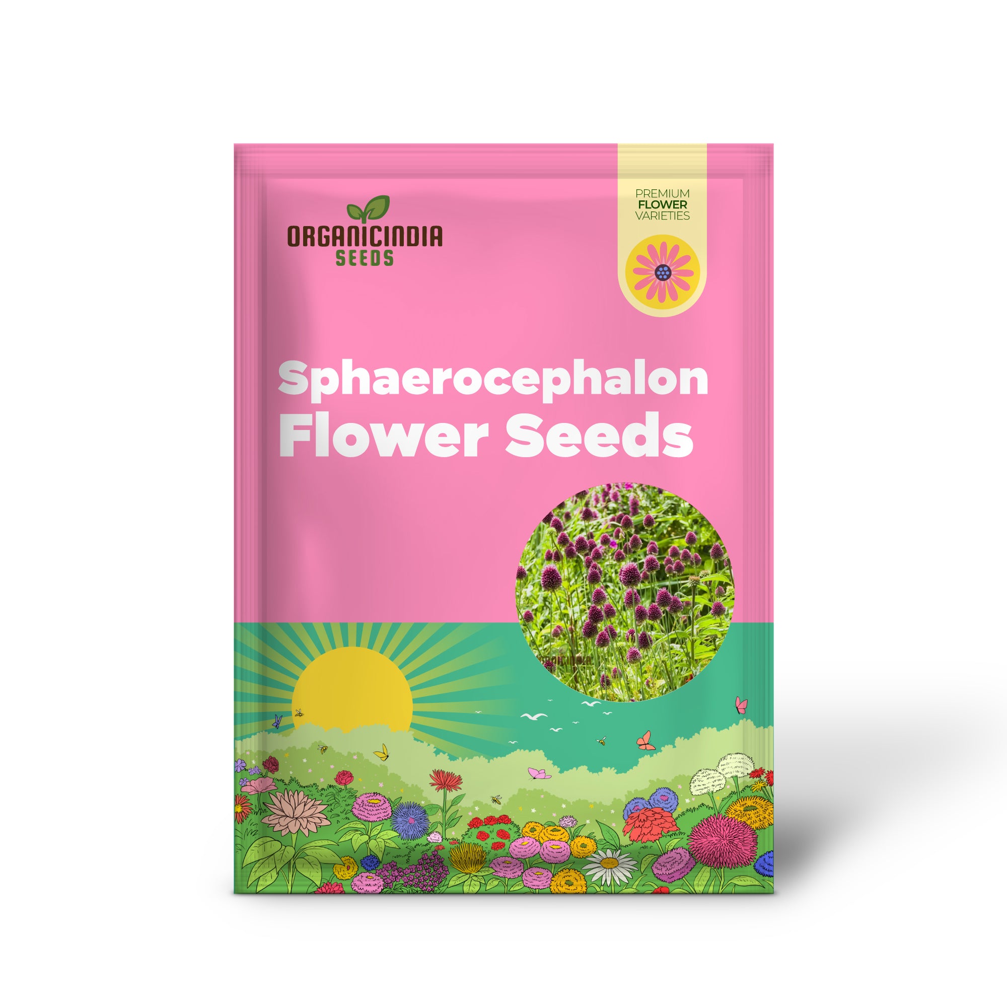 Allium Sphaerocephalon Flower Seeds for Planting, Premium Quality Seeds for Garden Blooms