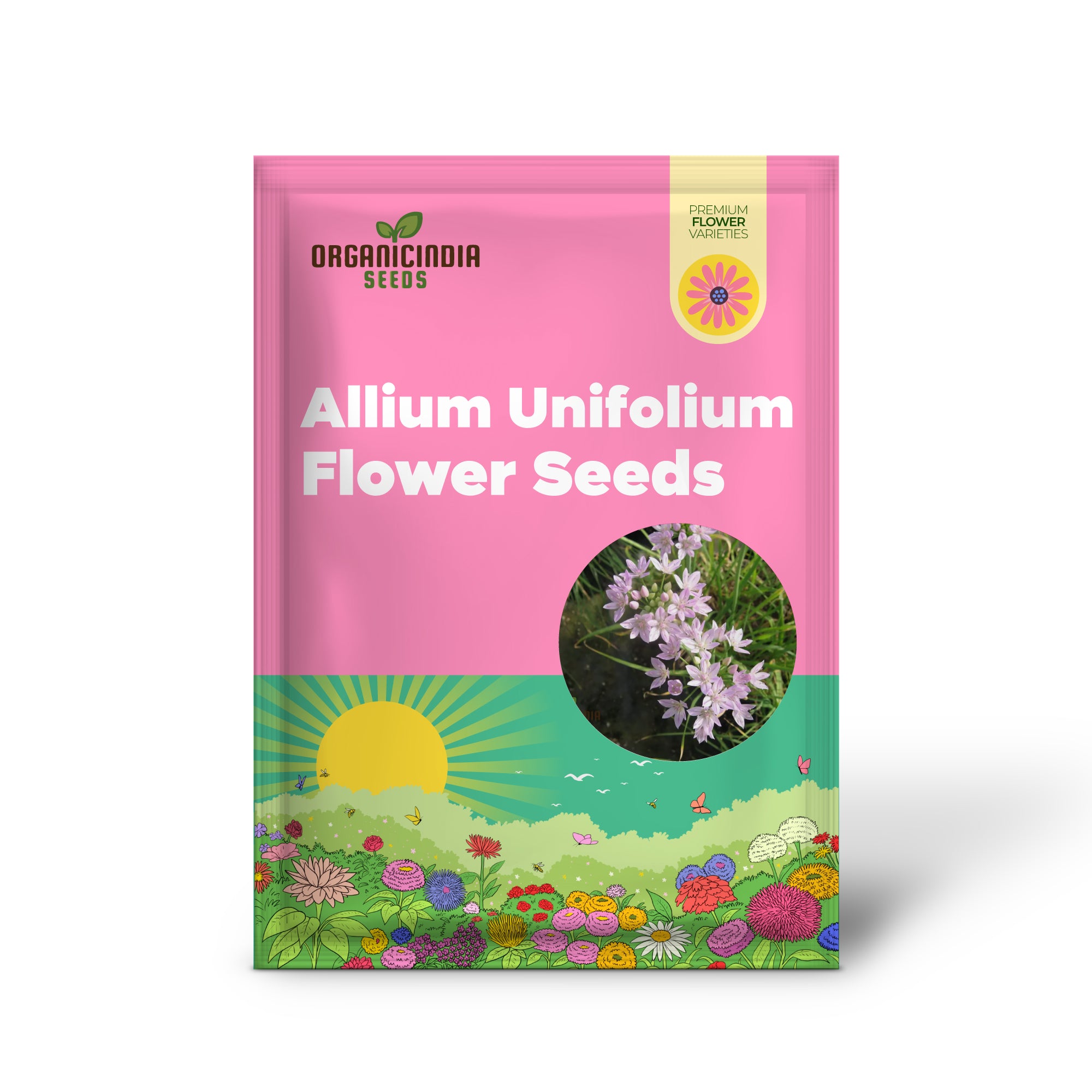 Allium Unifolium Flower Seeds for Planting, Premium Quality Seeds for Charming Garden Blooms
