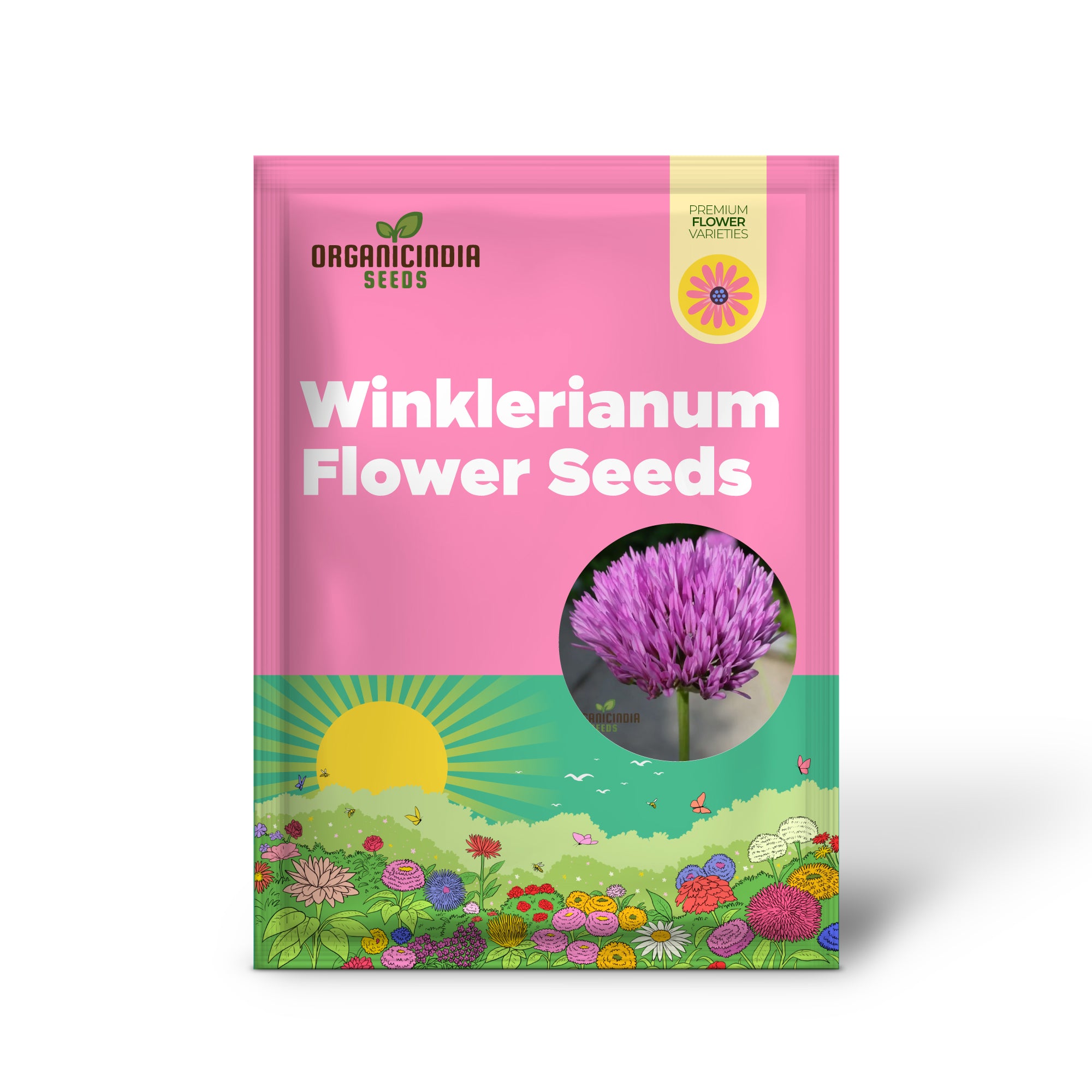 Allium Winklerianum Flower Seeds for Planting, Premium Quality Seeds for Elegant Gardens