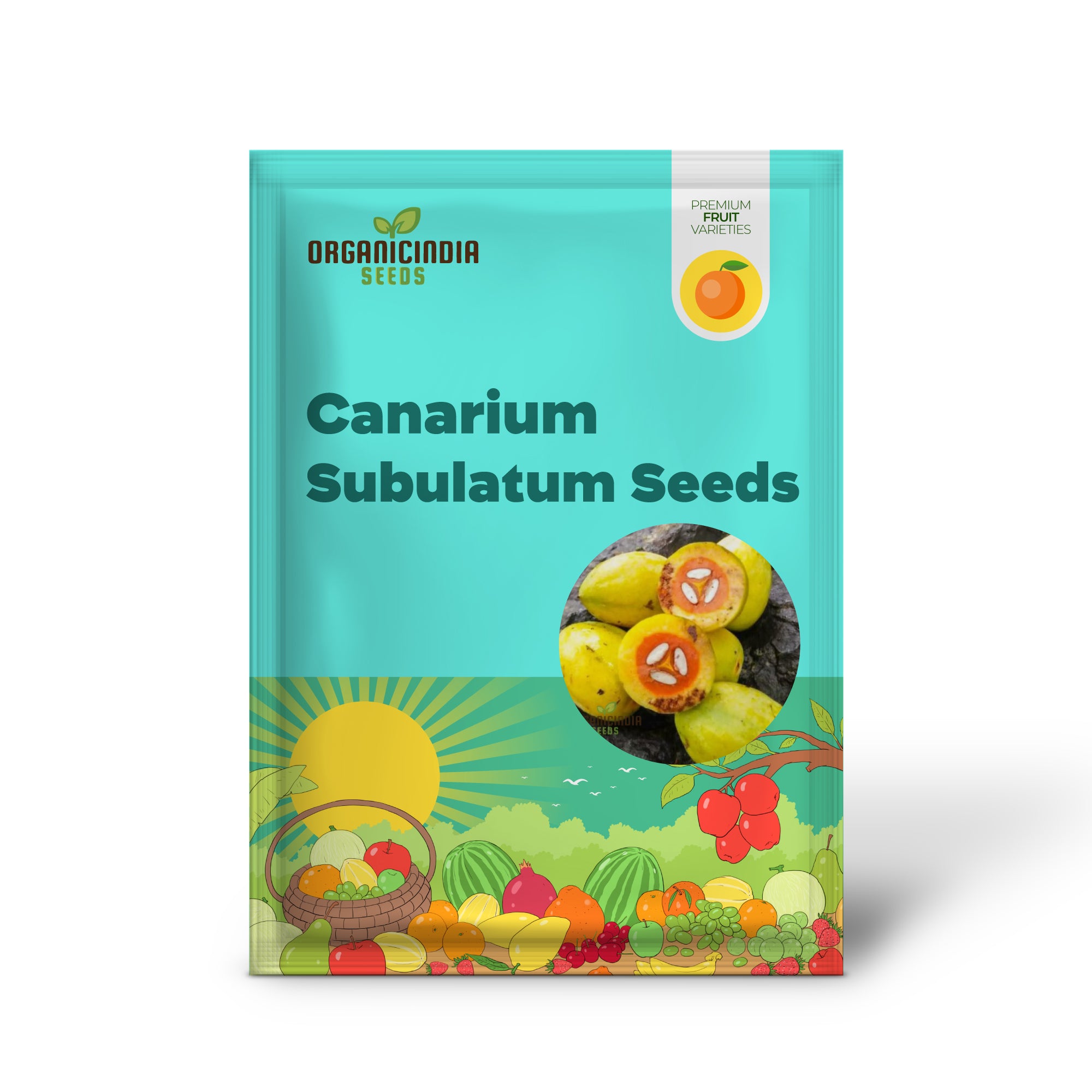 Canarium Subulatum Samen für Gartenfreunde: Hochwertige exotische Samen