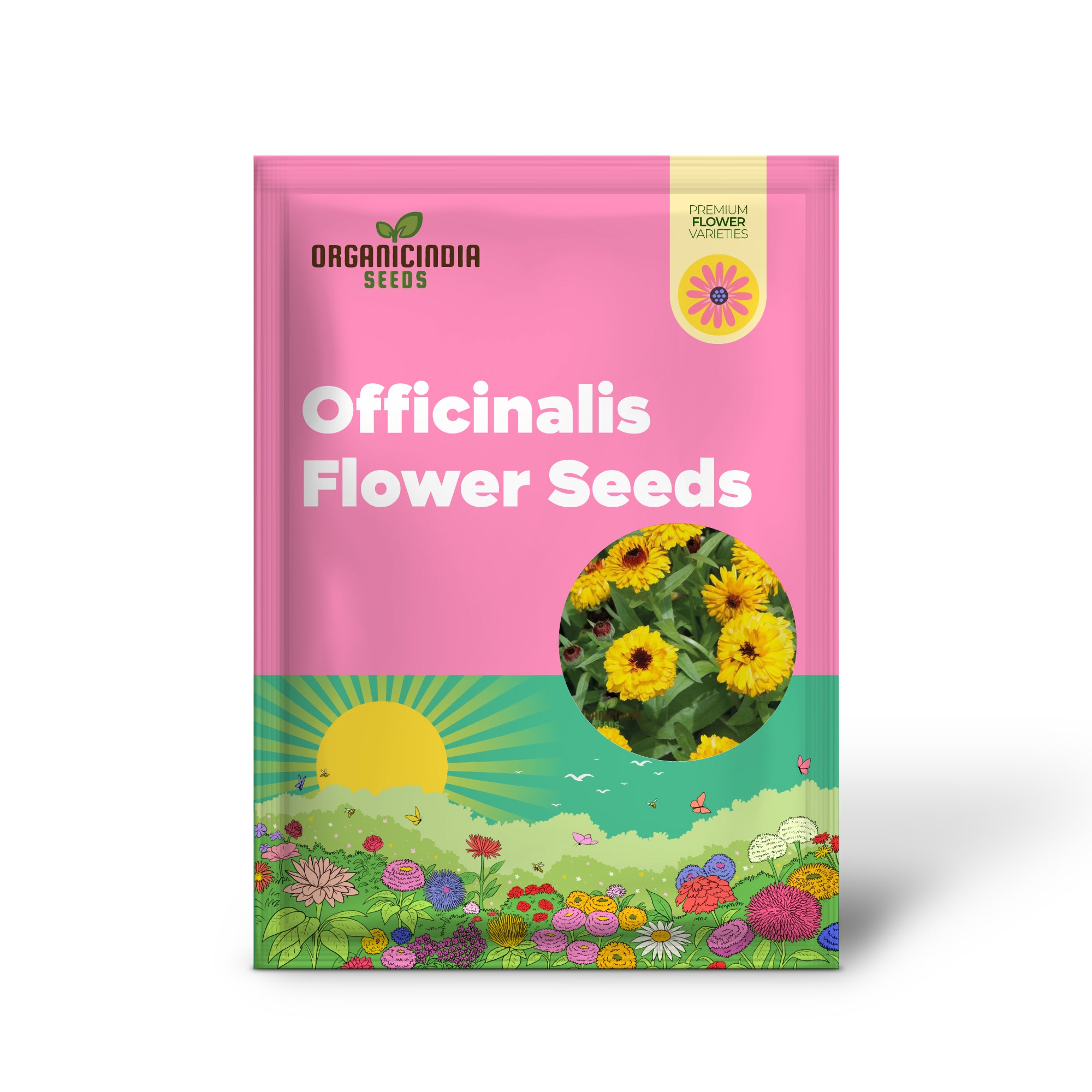CALENDULA OFFICINALIS 'BULLS EYE' Flower Seeds for Planting, Ideal for Planting, Gardening, and Vibrant Blooms