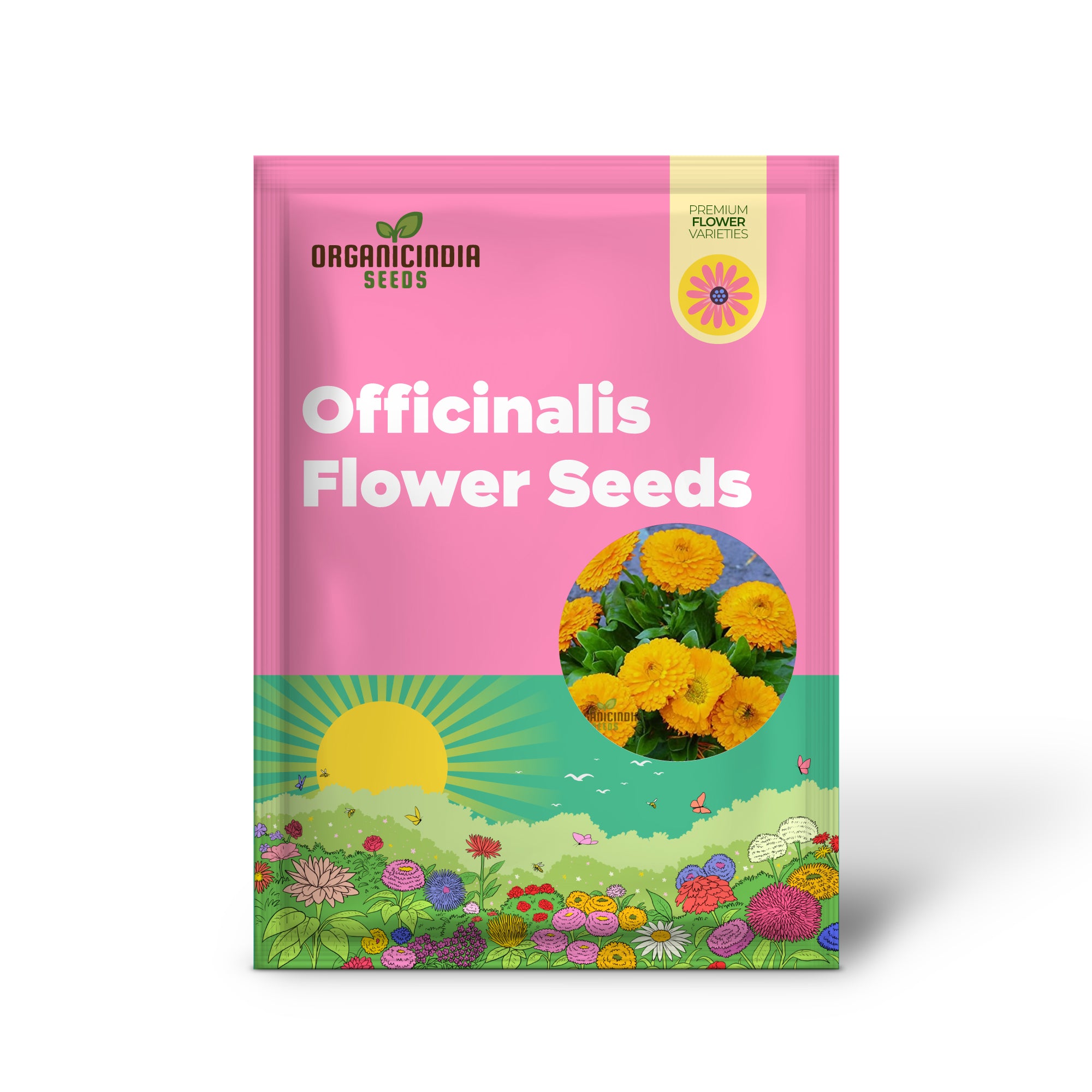 Calendula Officinalis 'Fiesta Gitana' Mixed Flower Seeds for Planting and Vibrant Garden Displays