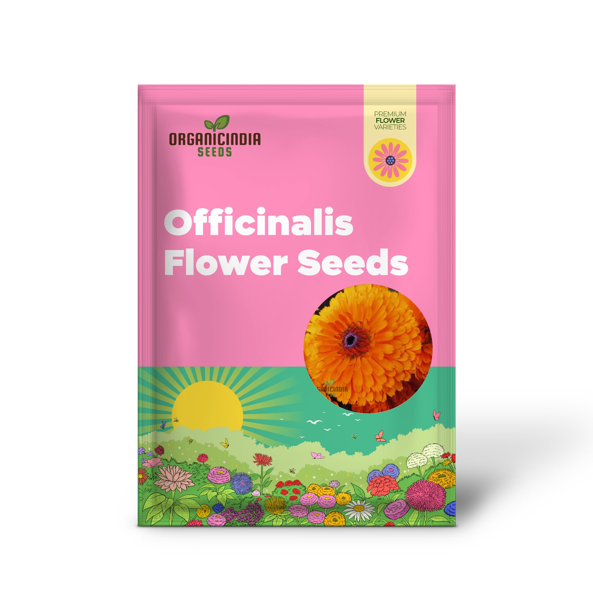 Calendula Officinalis 'Pacific Beauty Orange' Flower Seeds, Ideal for Planting and Brightening Your Garden