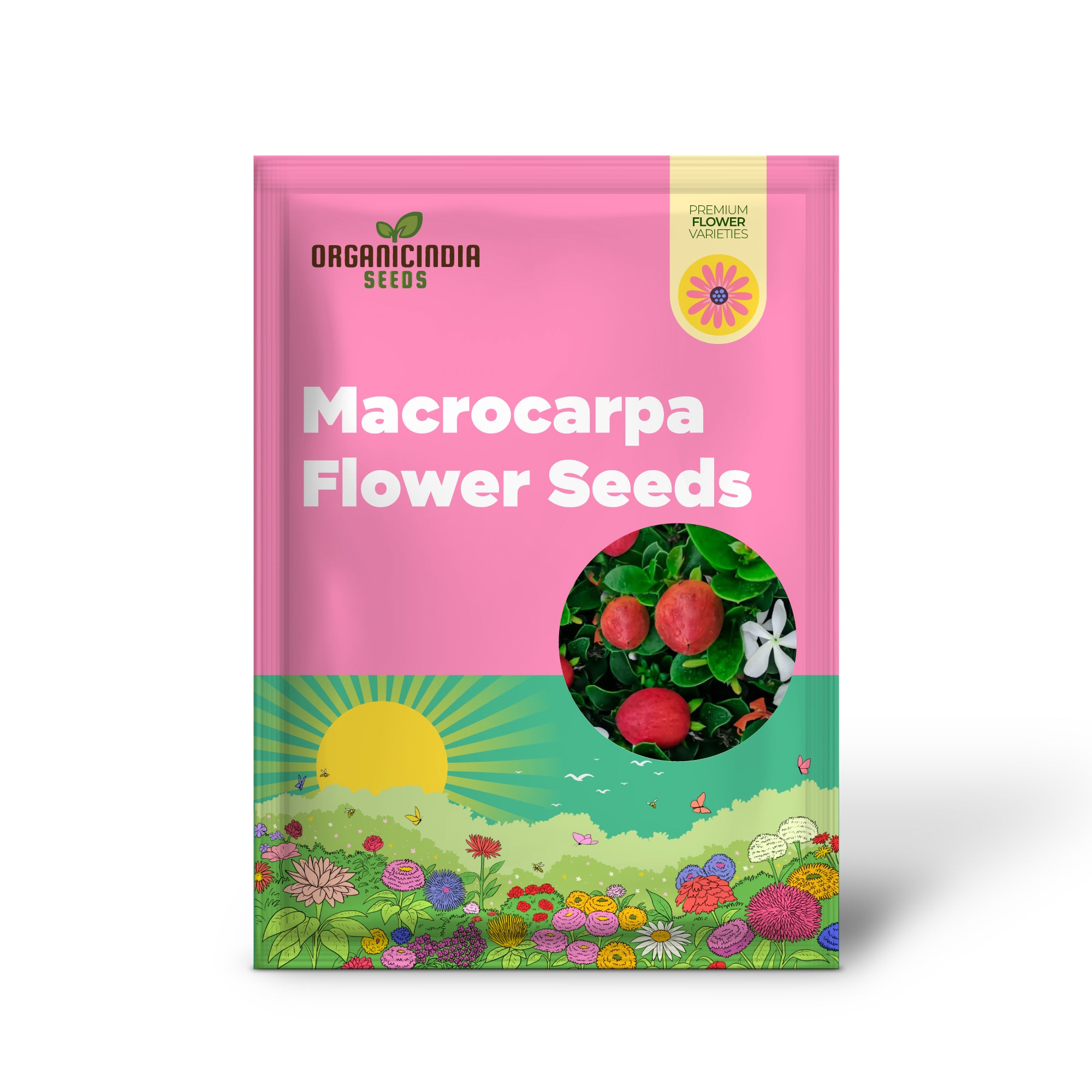 Carissa Macrocarpa Flower Seeds  for Planting, Premium Quality Seeds for Gardening