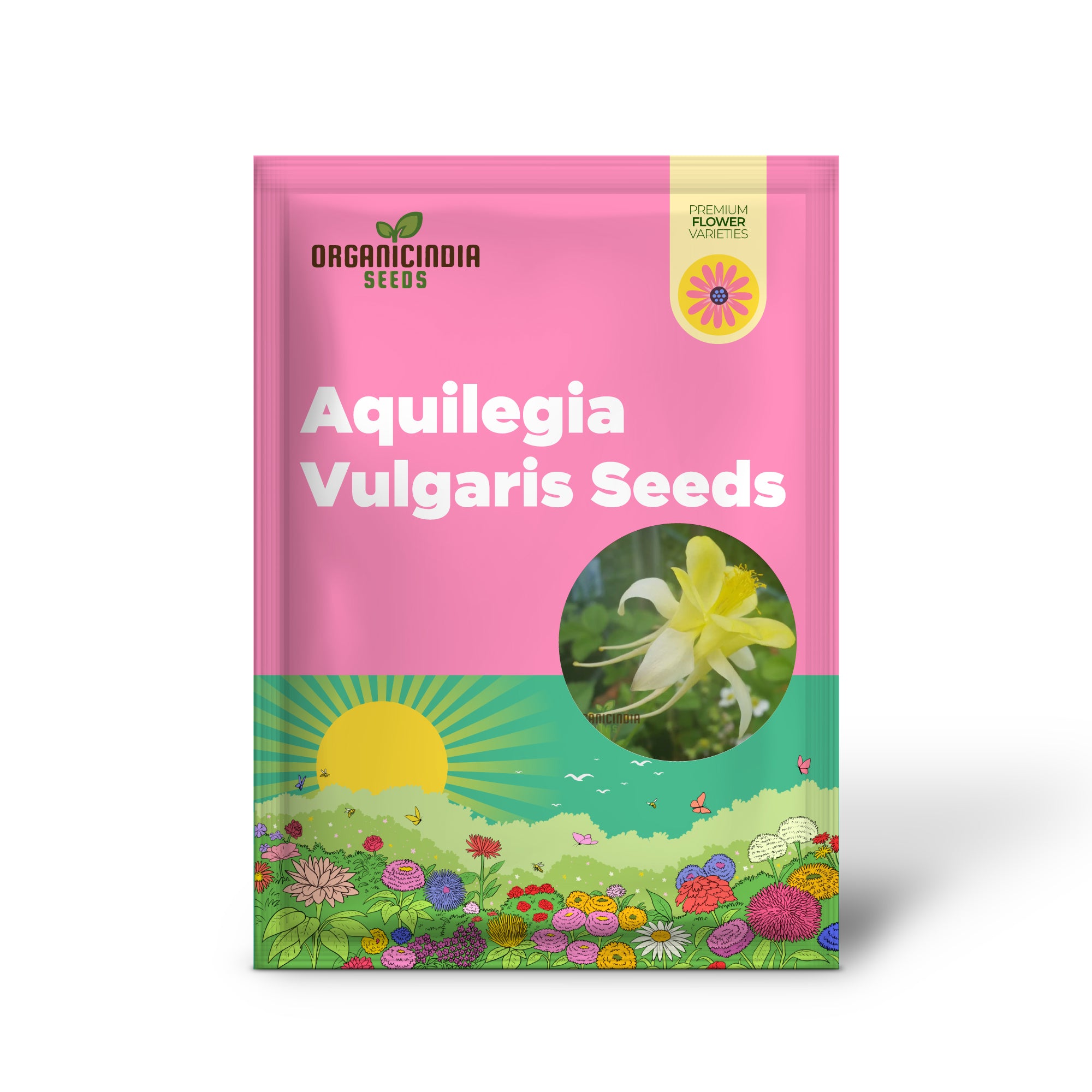 Aquilegia Vulgaris 'Sunbeams' Seeds - Premium Gardening Aquilegia, Beautiful Perennial Flowers for Your Garden