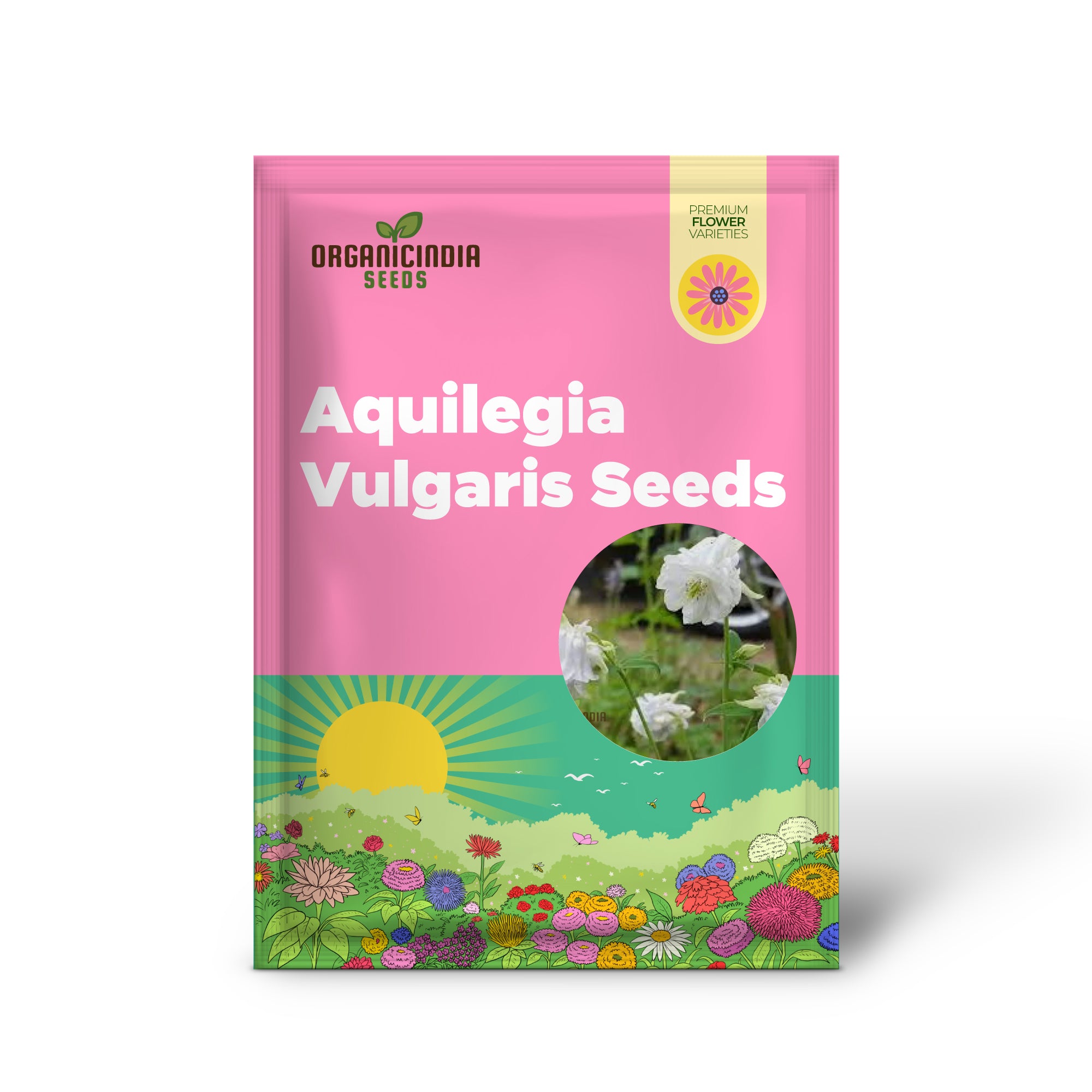 Aquilegia Vulgaris 'Snowballs' Seeds - Premium Gardening Perennials for Beautiful White Flowers