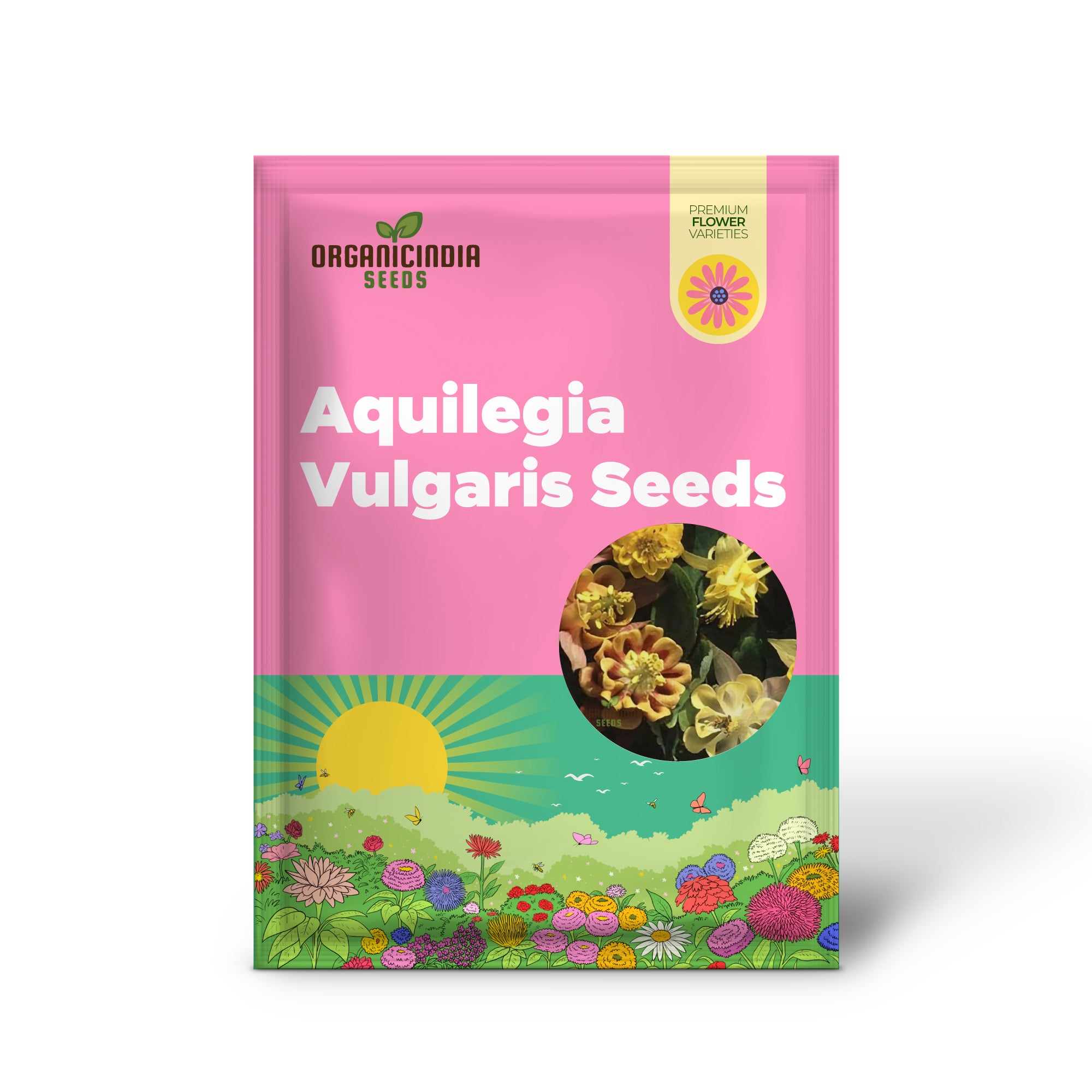 Aquilegia Vulgaris 'Oranges And Lemons' Seeds for Gardening | Rare Perennial Flower Seeds